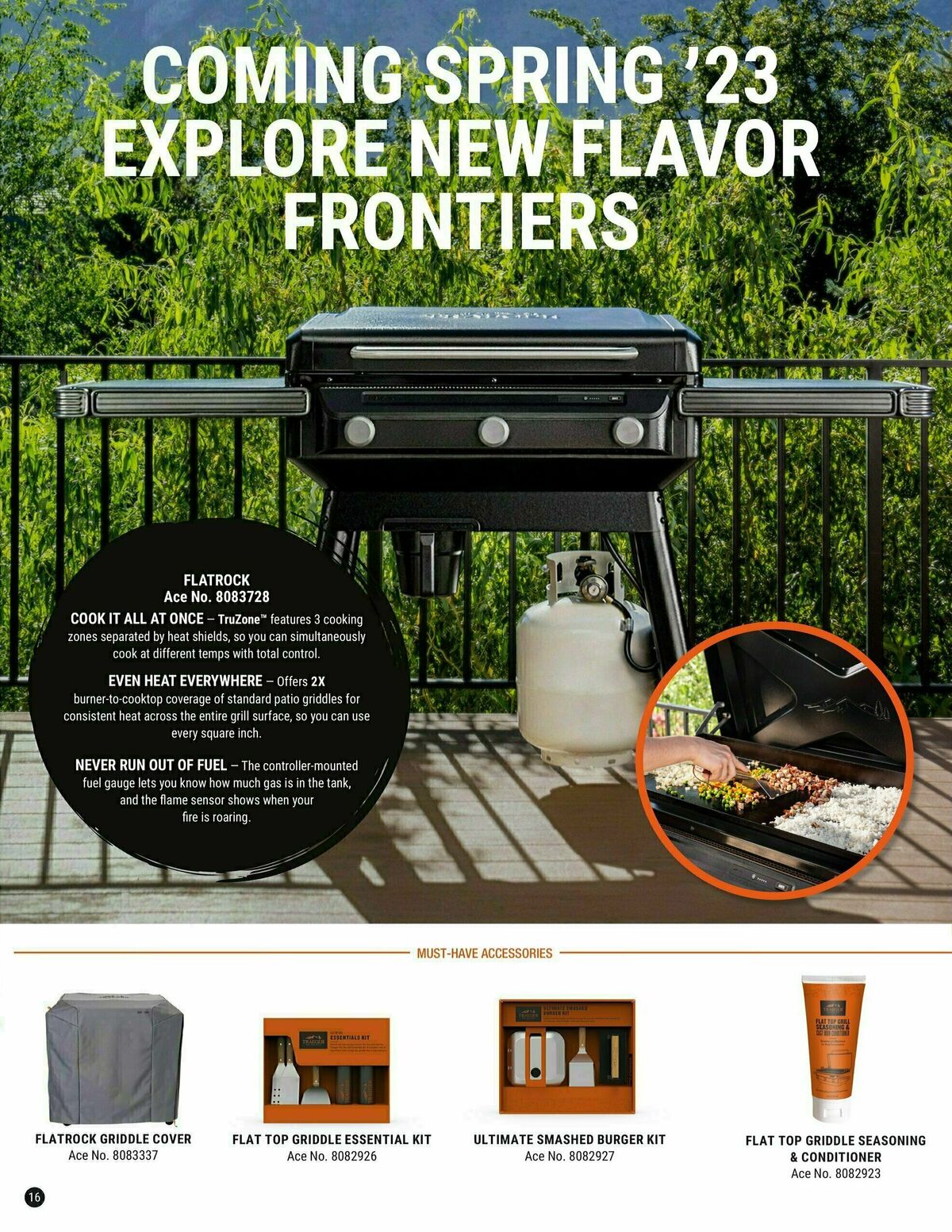 Ace Hardware Grilling Catalog 2023 Weekly Ad from January 25