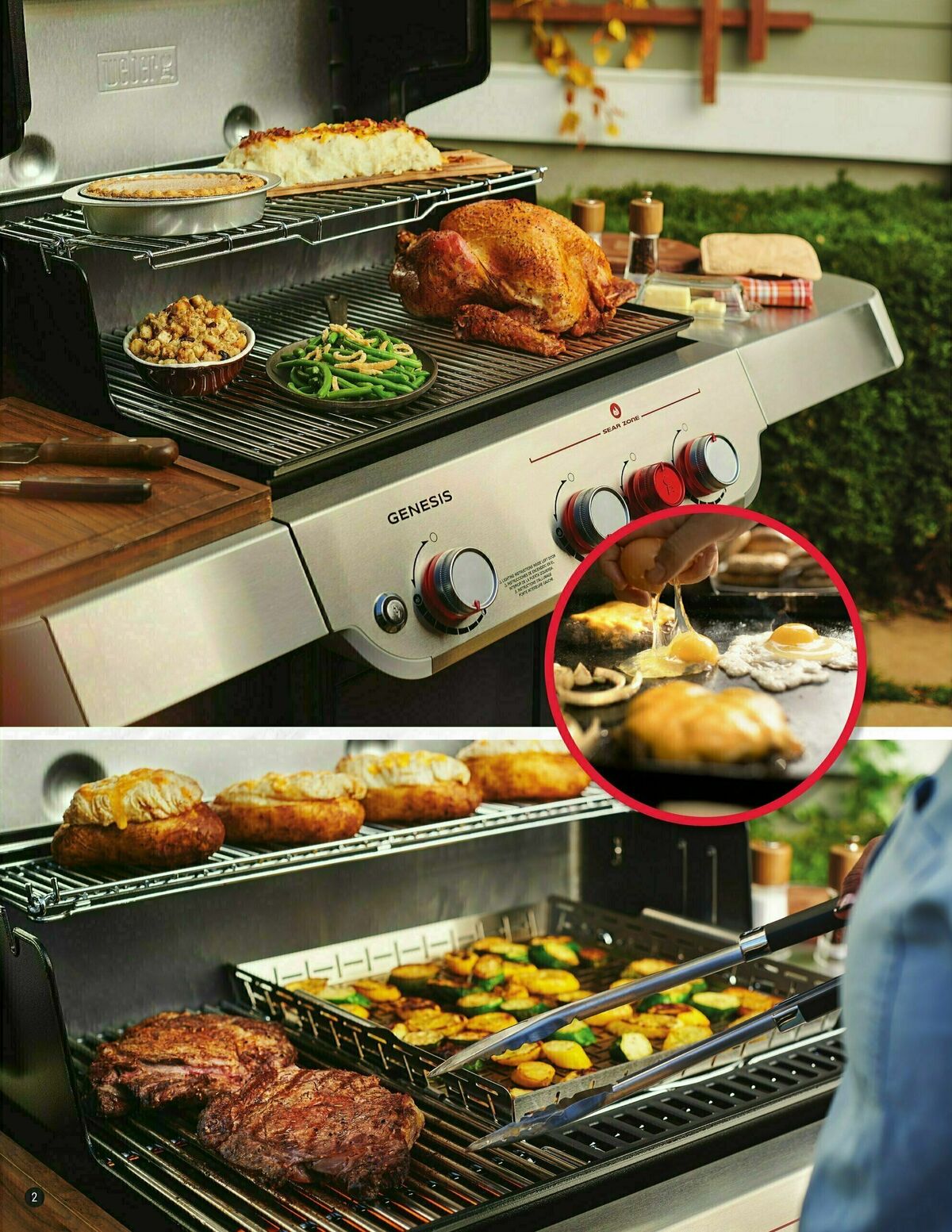 Ace Hardware Grilling Catalog 2023 Weekly Ad from January 25