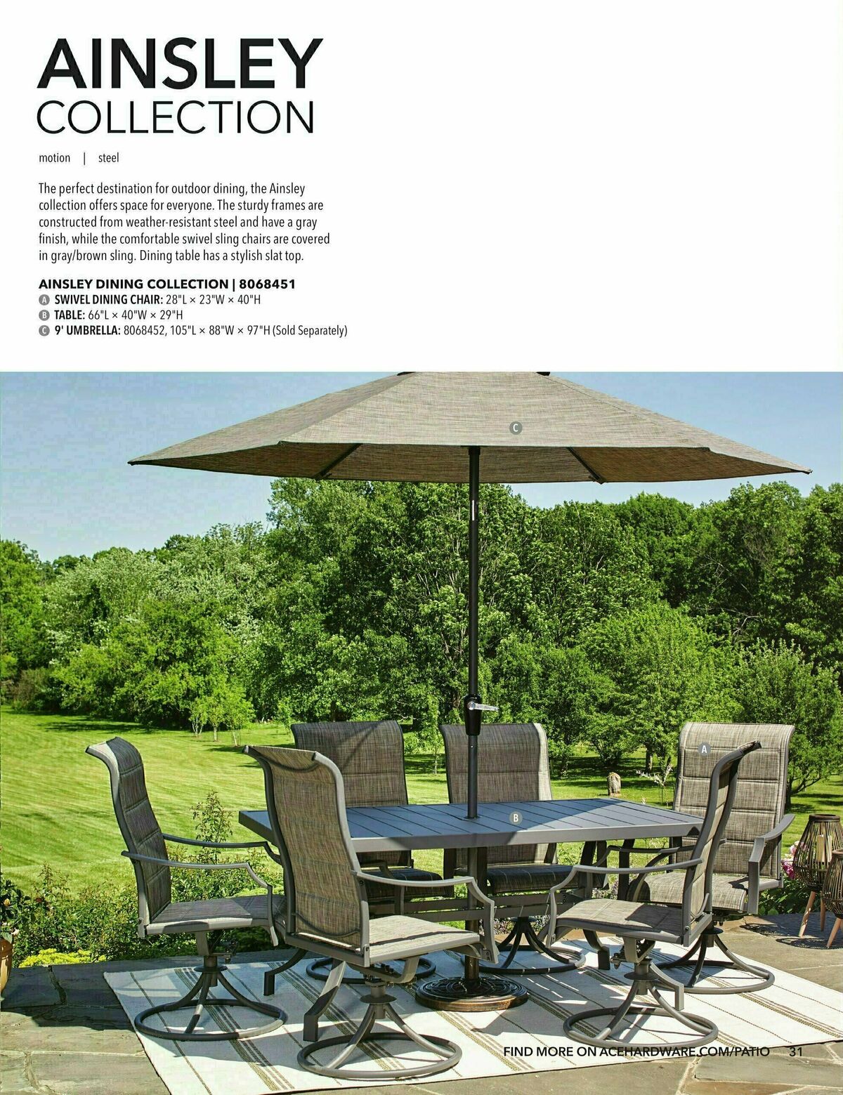 Ace Hardware Outdoor Living Guide Weekly Ad from February 1