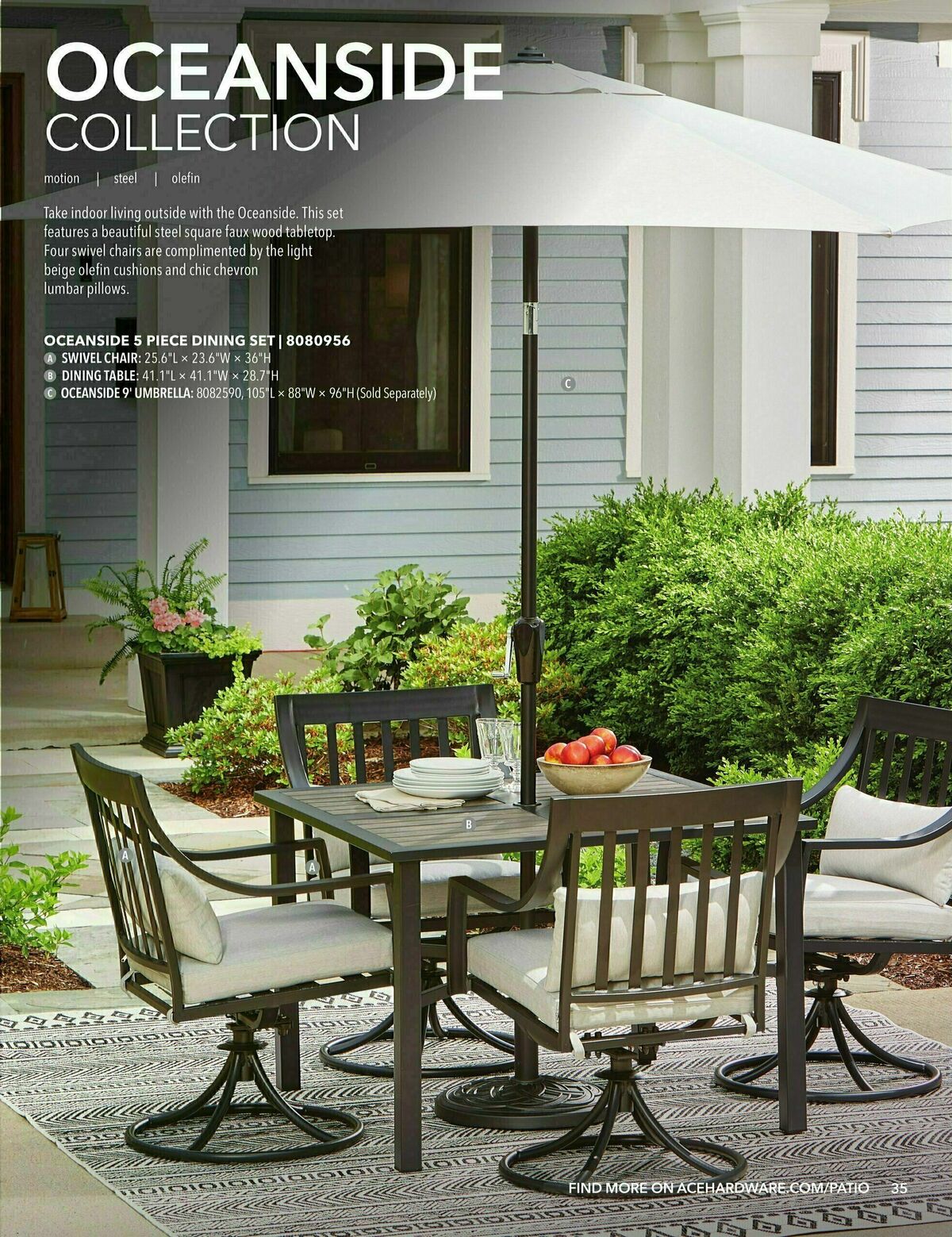 Ace Hardware Outdoor Living Guide Weekly Ad from February 1