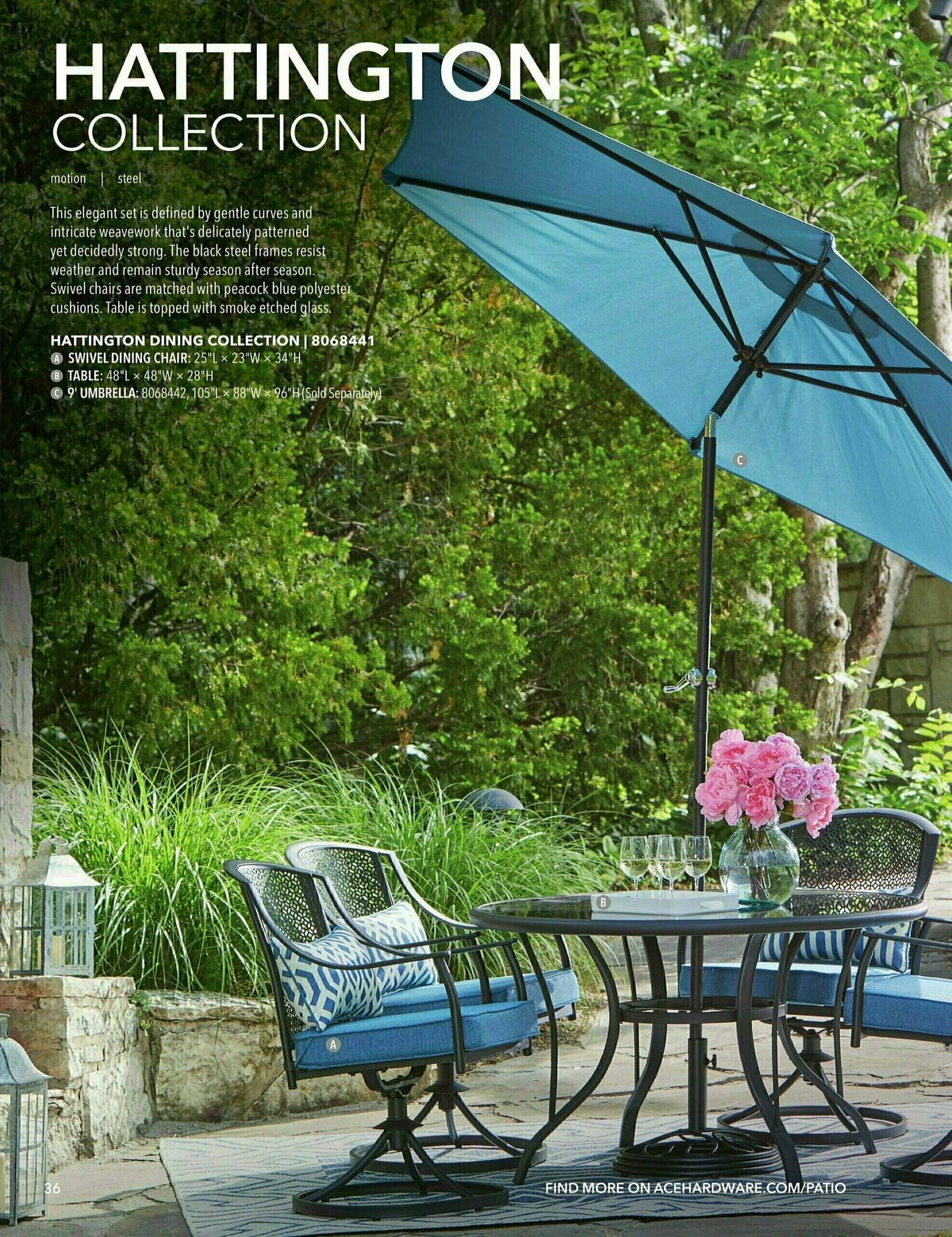 Ace Hardware Outdoor Living Guide Weekly Ad from February 1