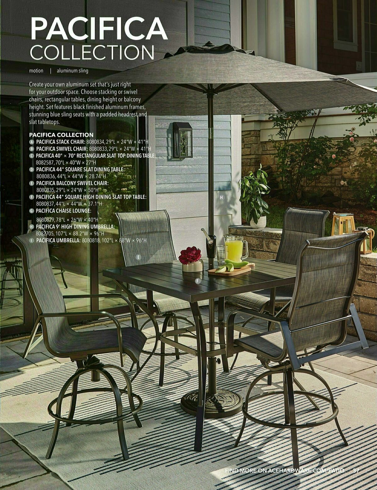 Ace Hardware Outdoor Living Guide Weekly Ad from February 1