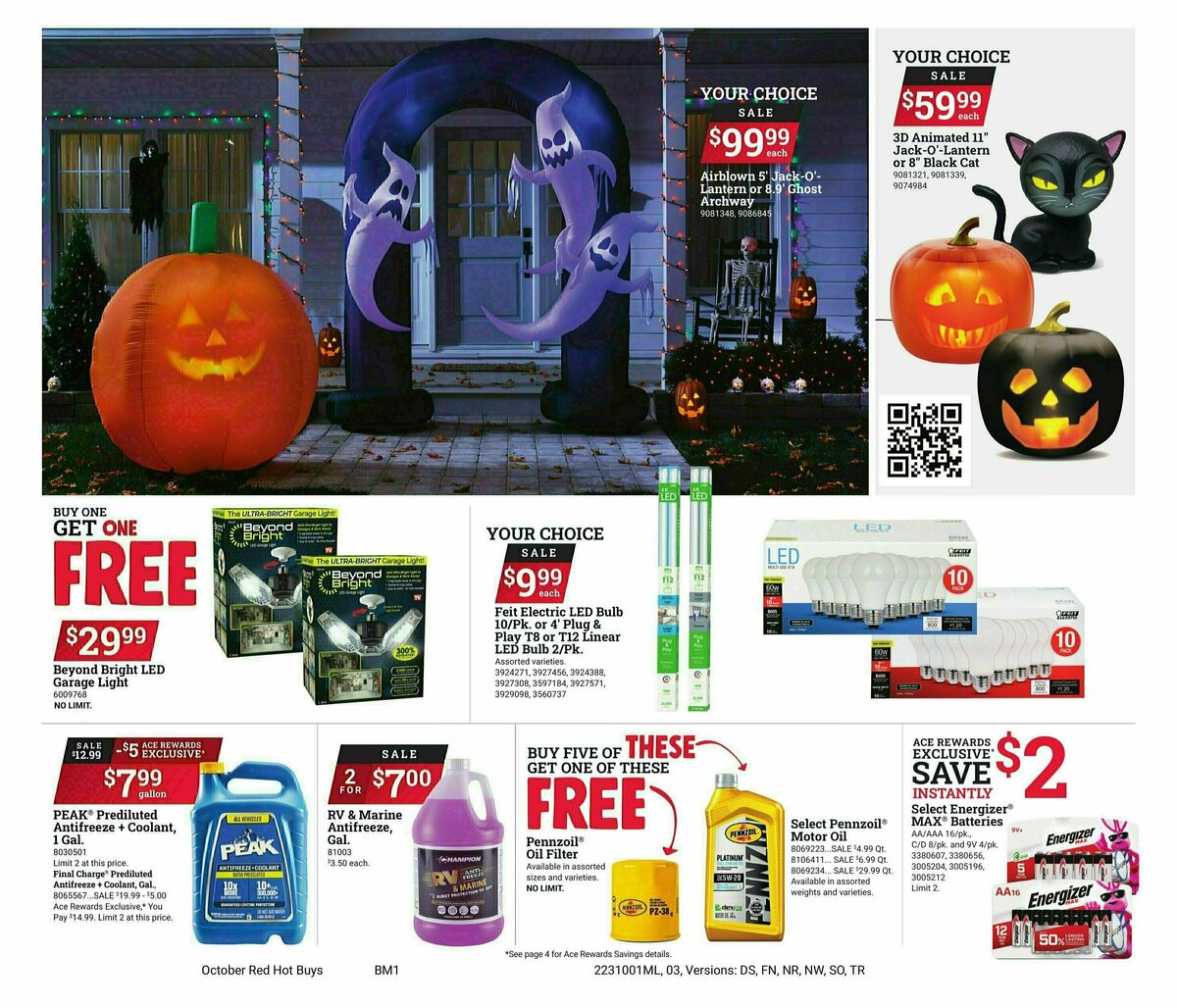 Ace Hardware Weekly Ad from October 1