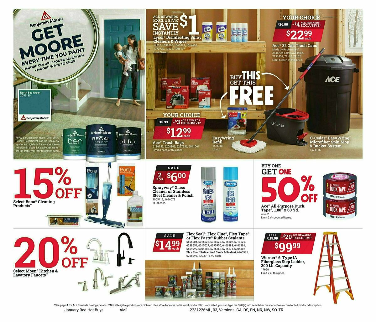 Ace Hardware January Red Hot Buys Weekly Ad from December 26