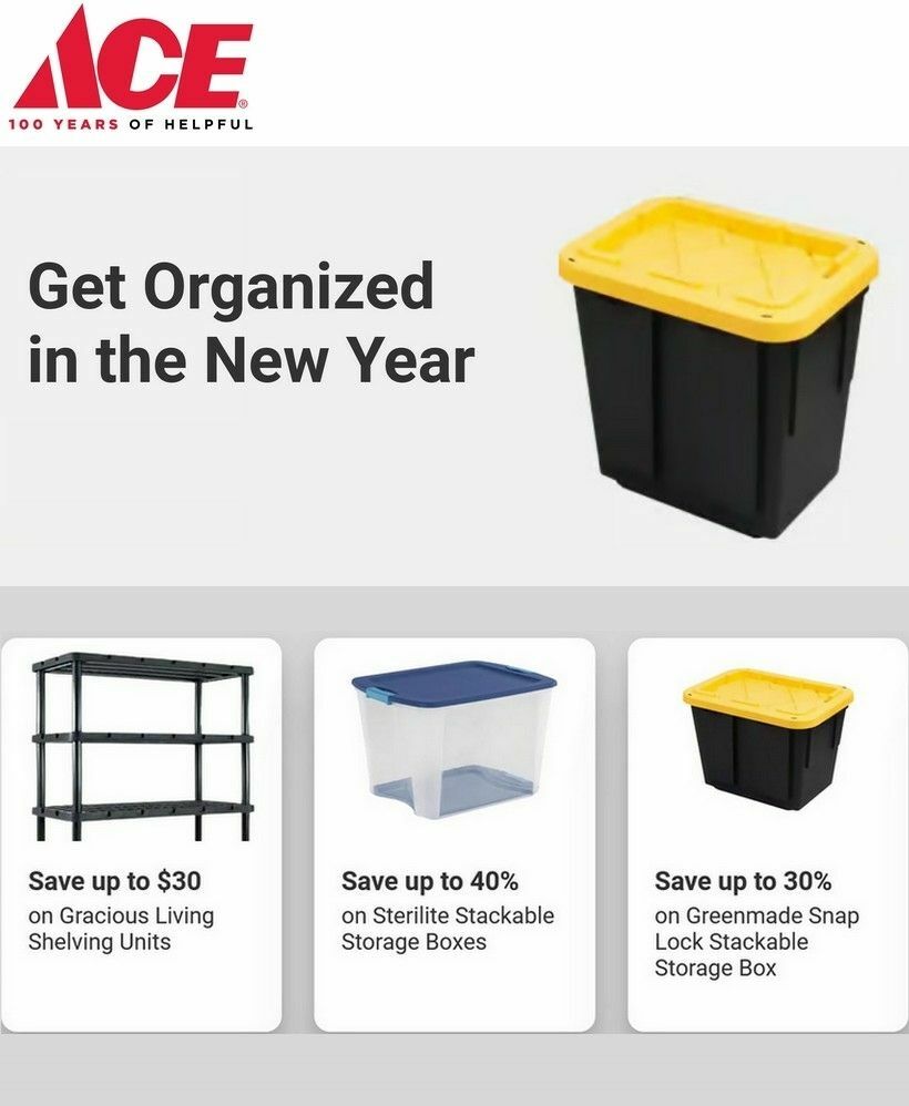 Ace Hardware Weekly Ad from January 3