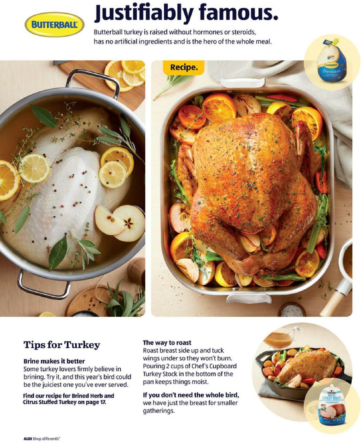 ALDI Thanksgiving Catalog Weekly Ad from October 21