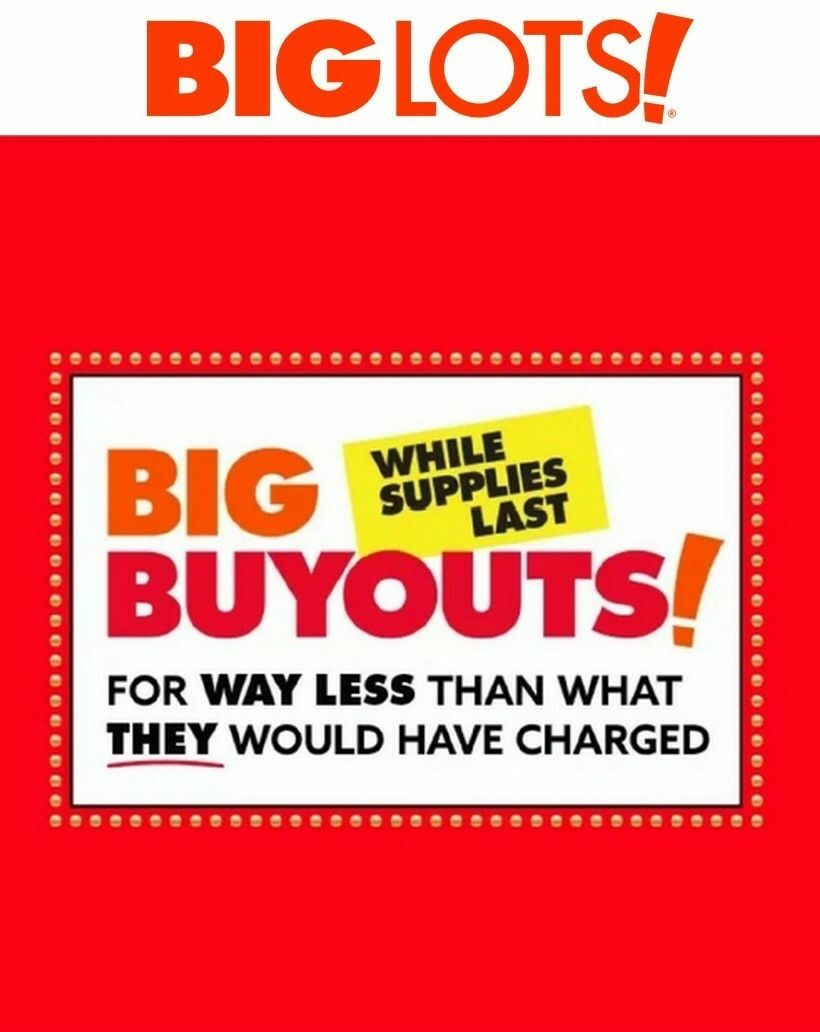 Big Lots Weekly Ad from June 11