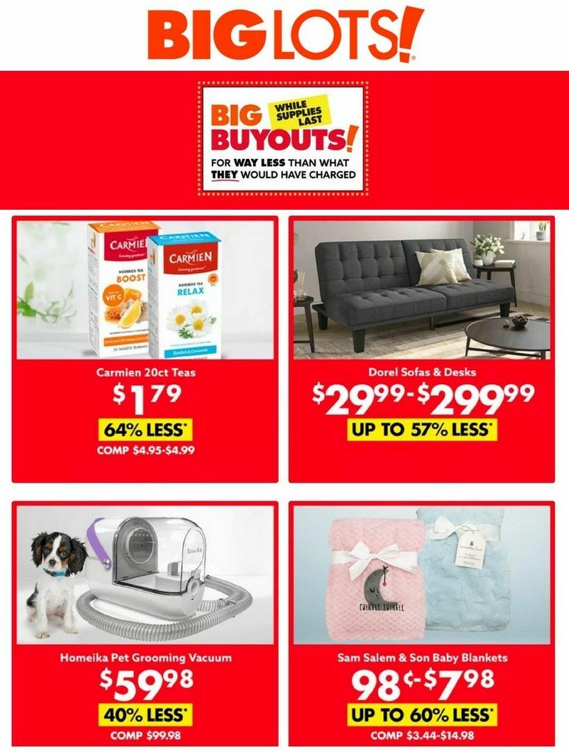 Big Lots Weekly Ad from July 23