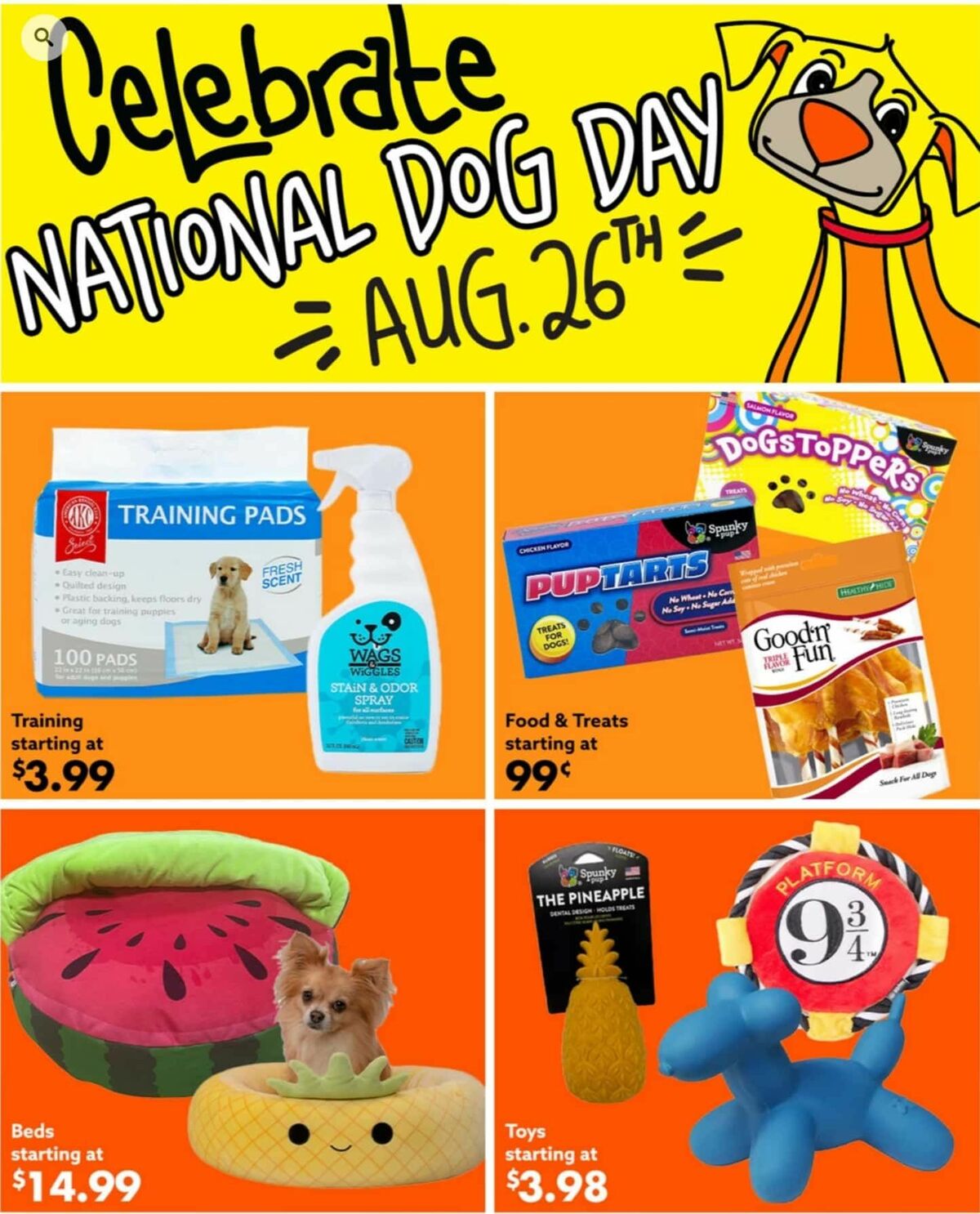 Big Lots Weekly Ad from August 24