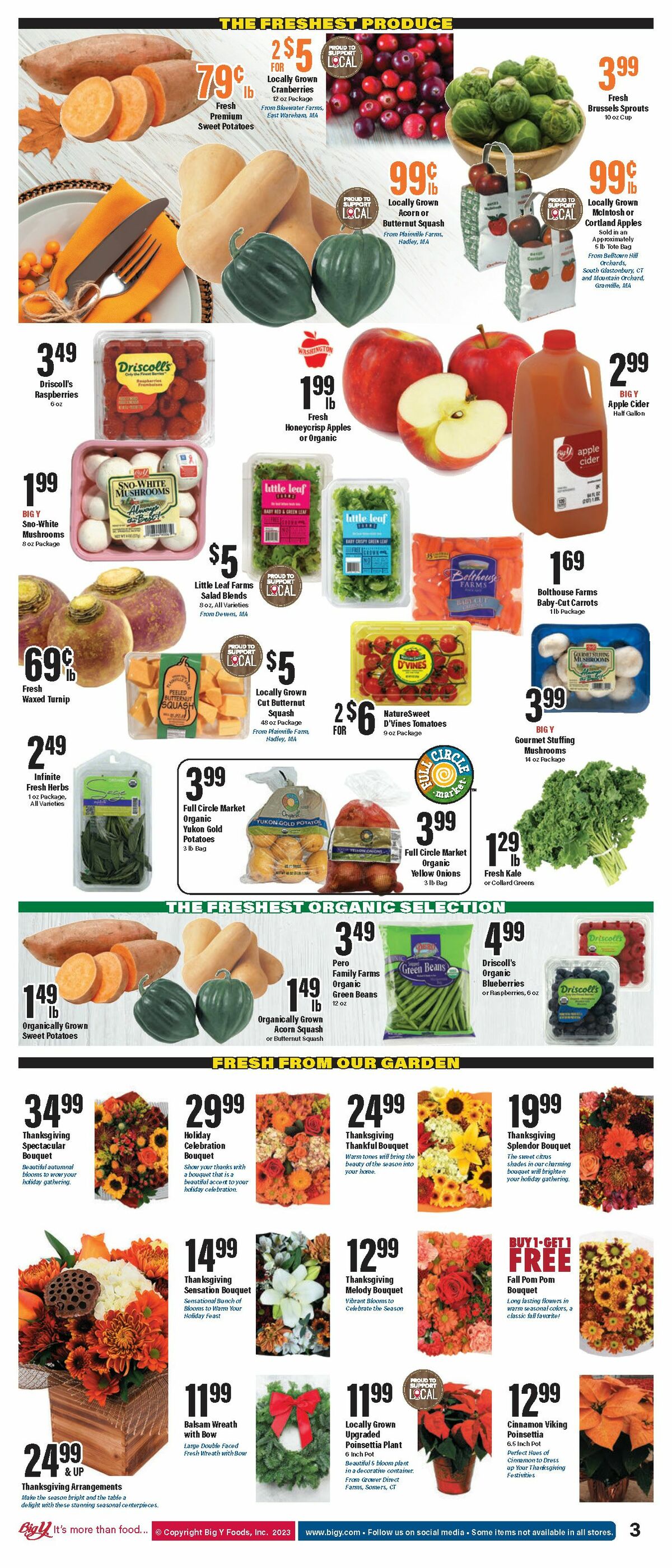 Big Y Weekly Ad from November 16