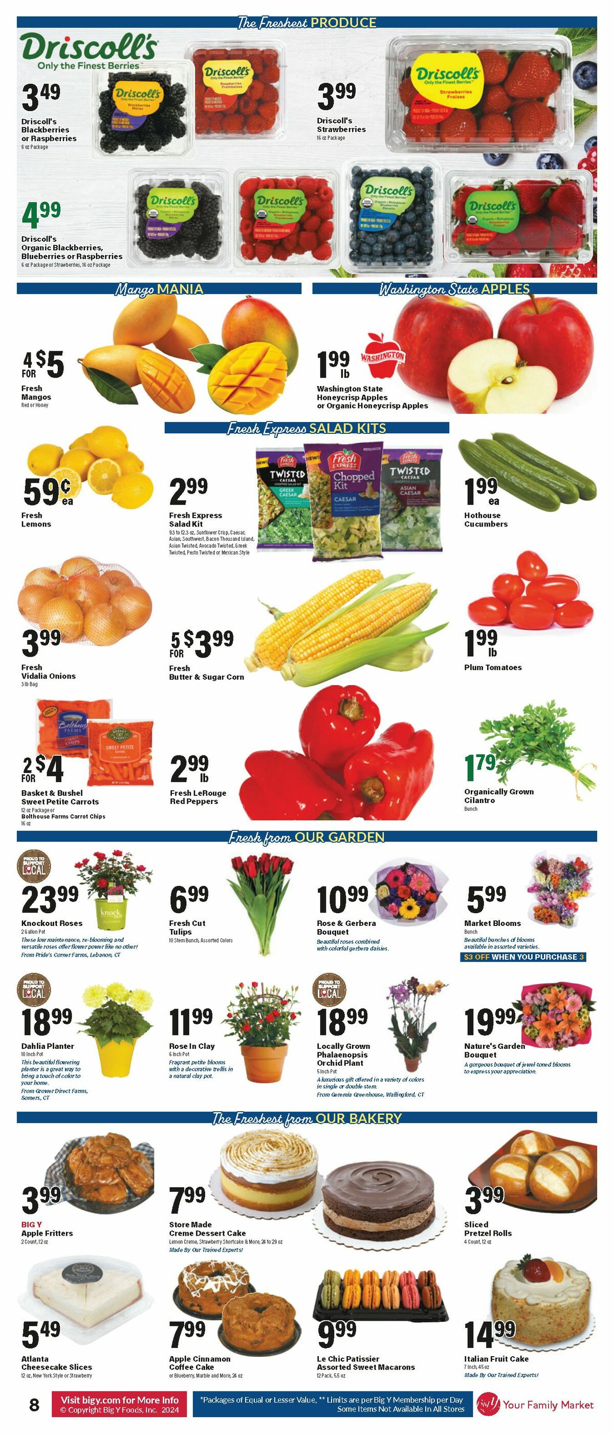 Big Y Weekly Ad from May 2