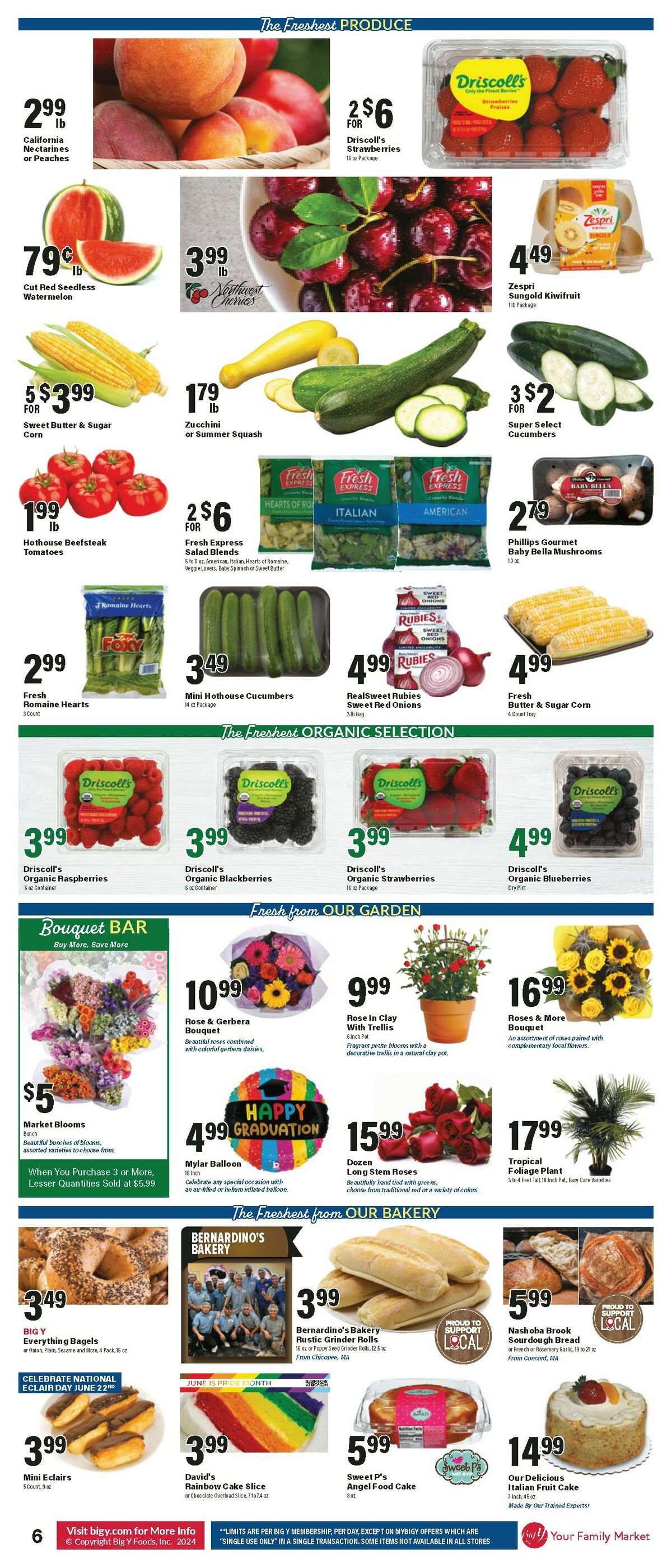 Big Y Weekly Ad from June 20