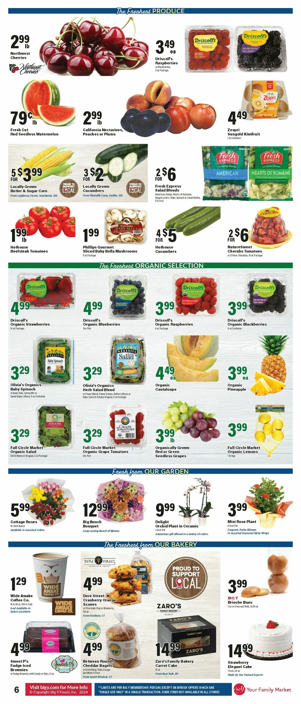 Big Y Weekly Ad from July 11