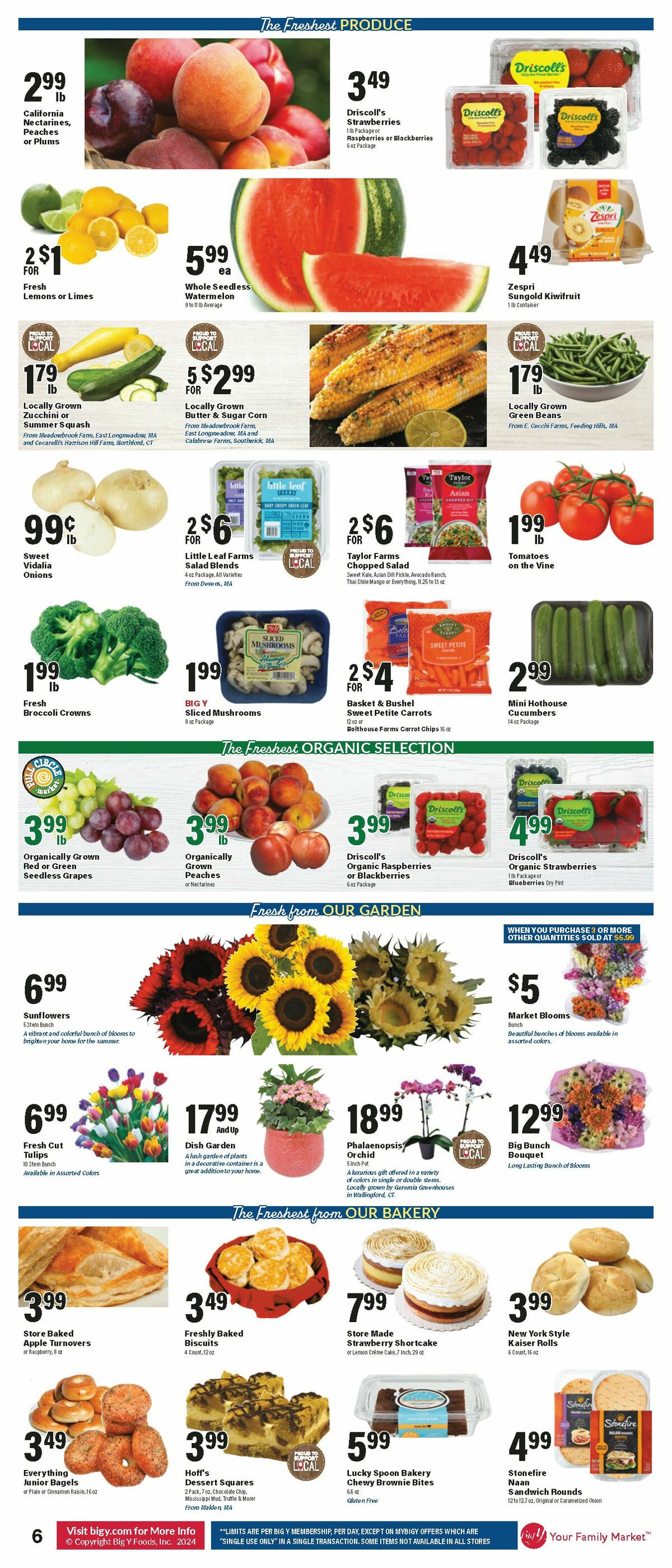 Big Y Weekly Ad from July 18