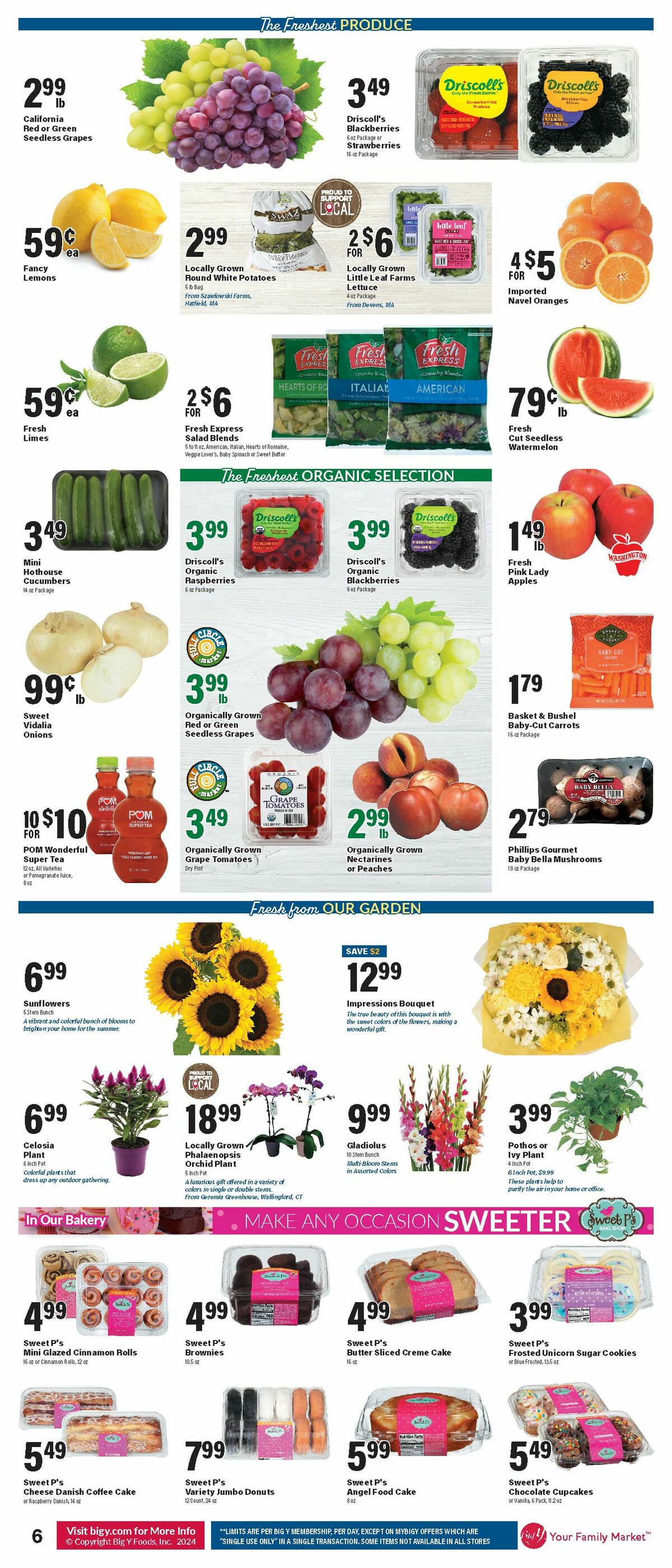 Big Y Weekly Ad from August 15