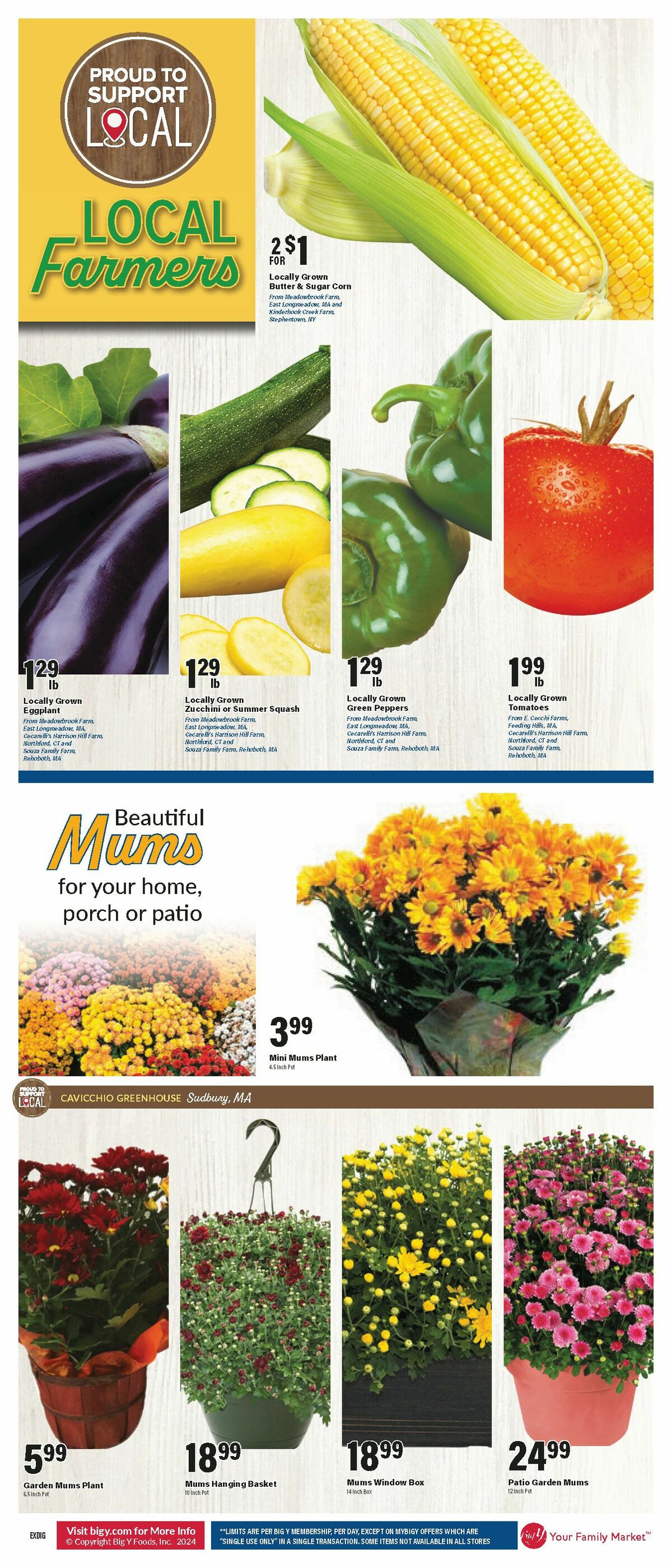 Big Y Weekly Ad from August 22