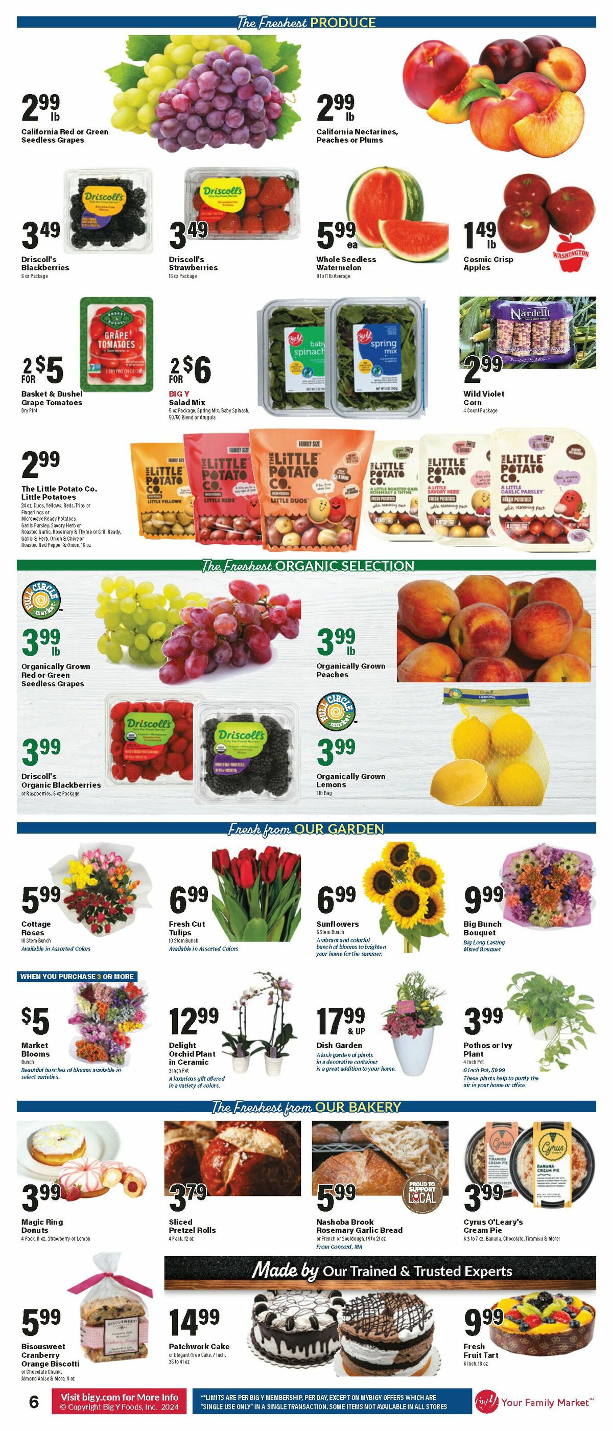 Big Y Weekly Ad from August 22