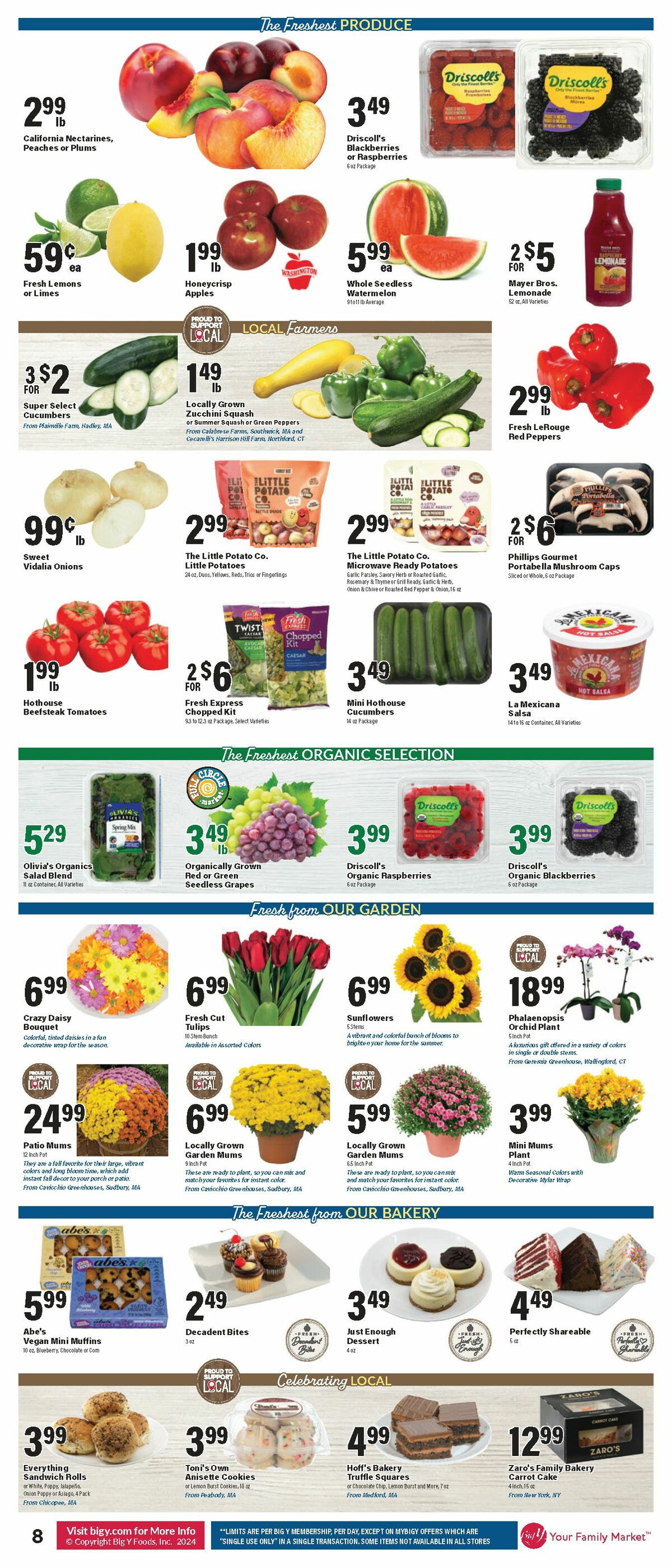 Big Y Weekly Ad from August 29