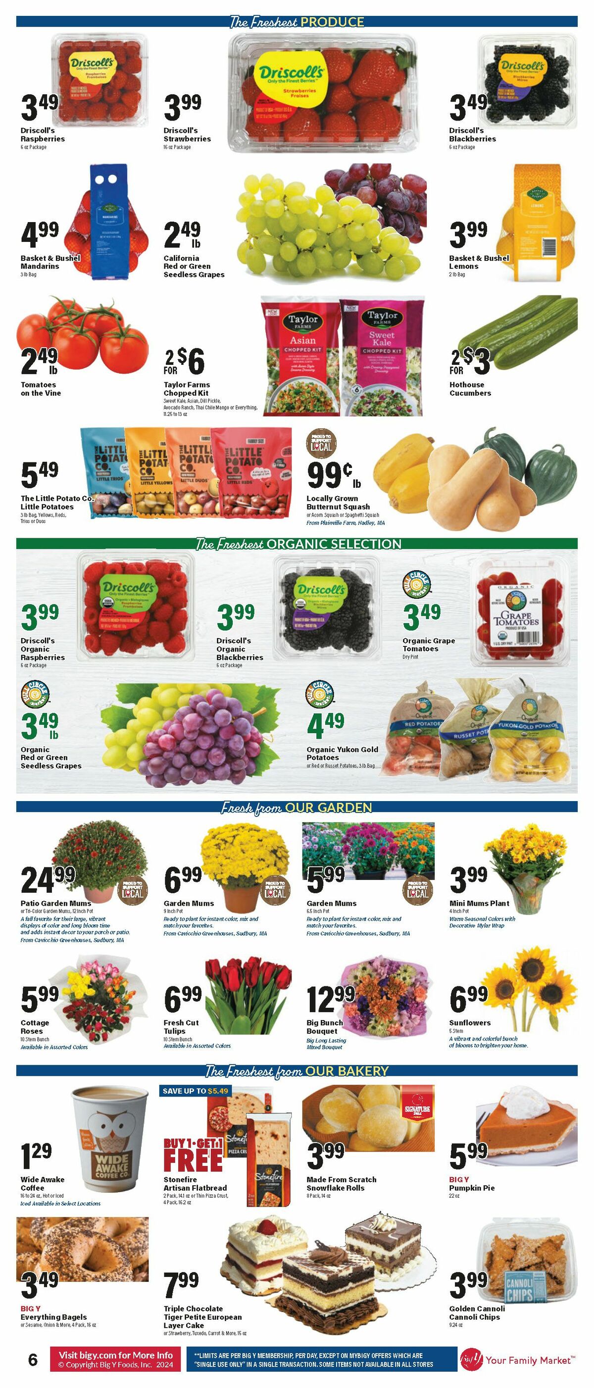 Big Y Weekly Ad from September 19