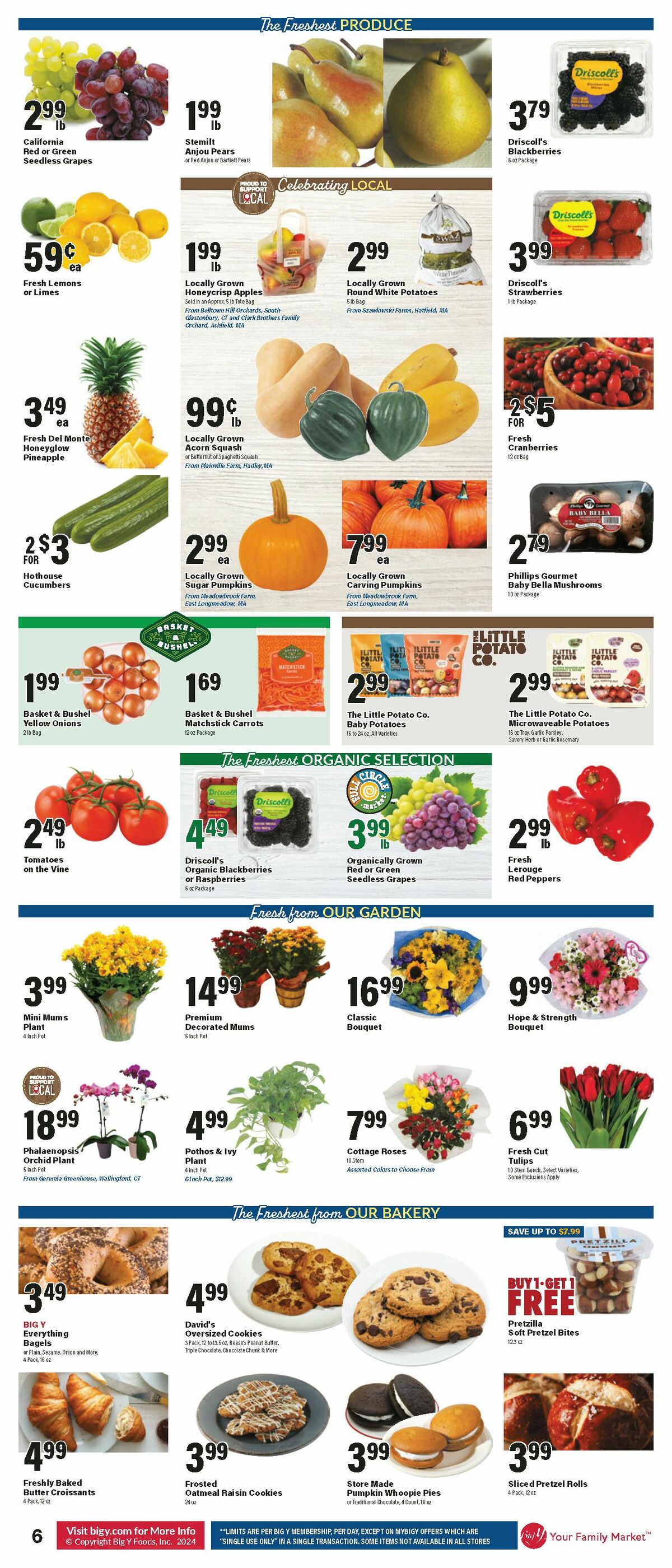 Big Y Weekly Ad from October 17