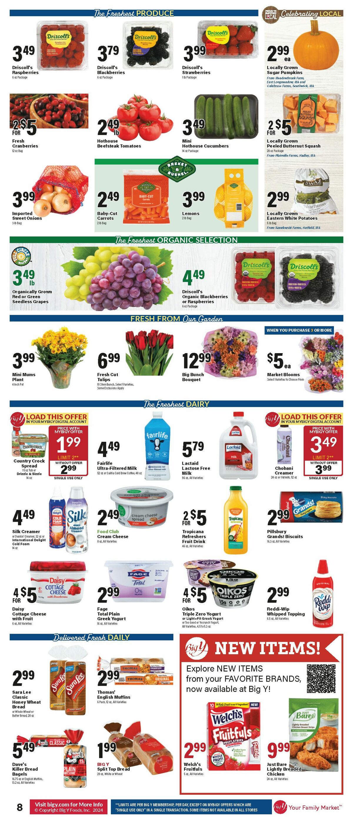 Big Y Weekly Ad from October 24