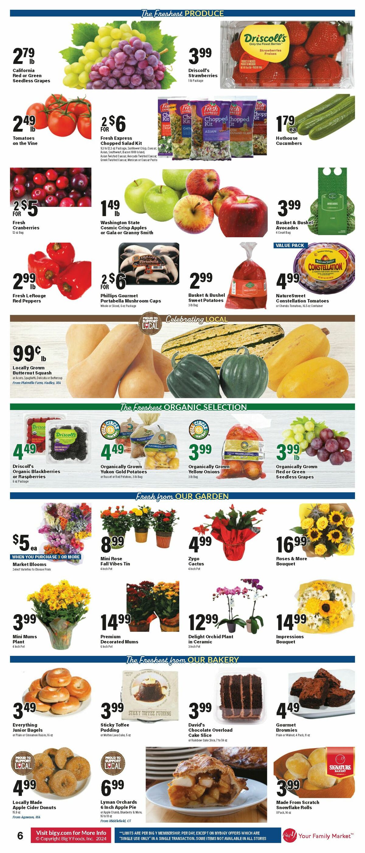 Big Y Weekly Ad from October 31