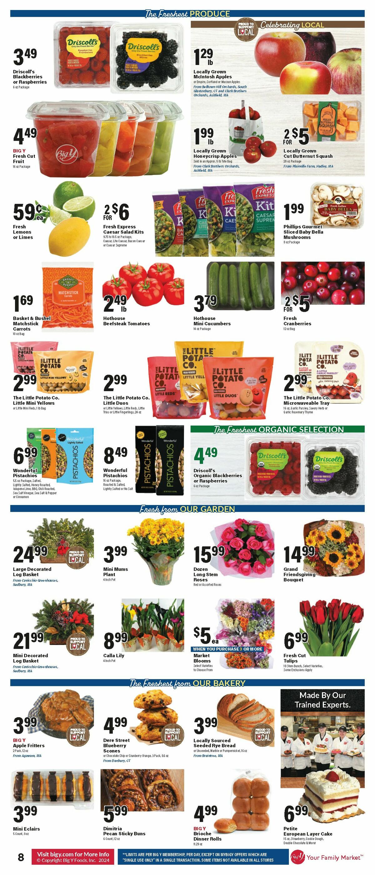 Big Y Weekly Ad from November 7