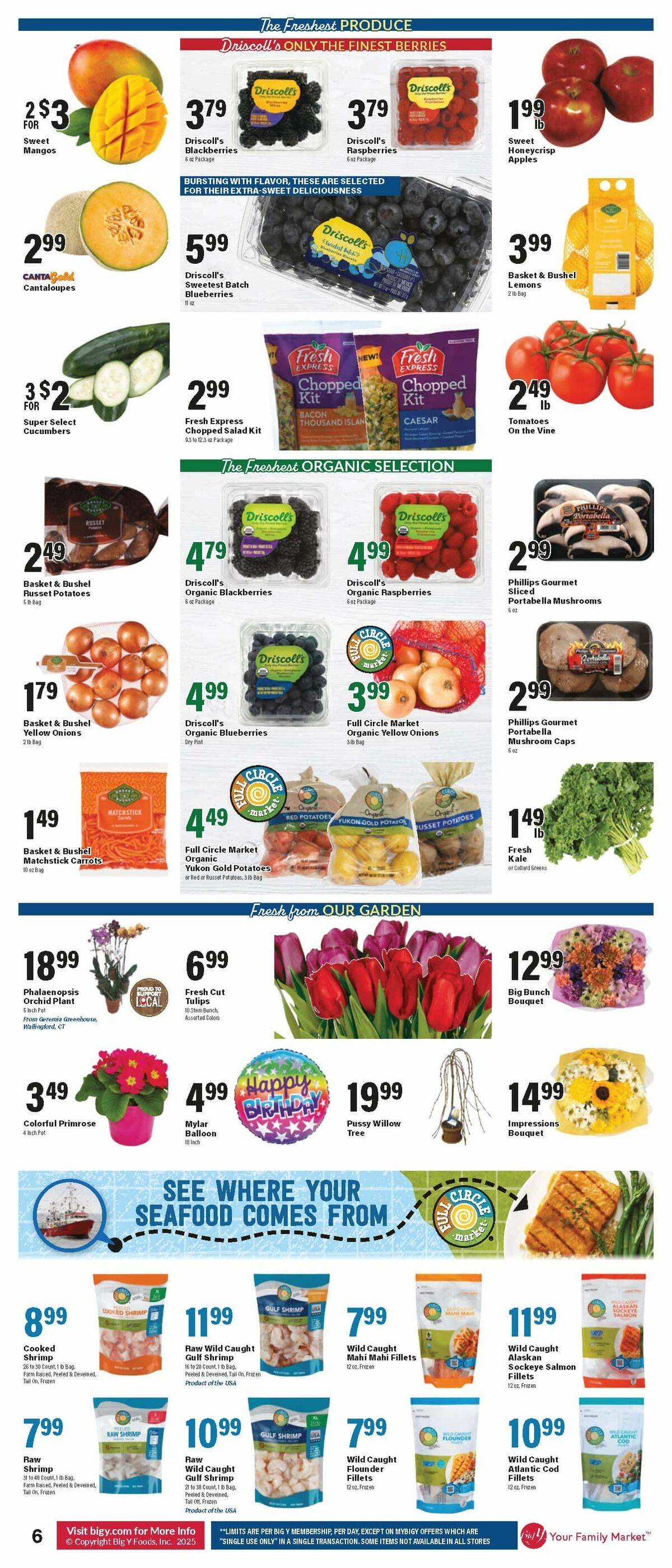 Big Y Weekly Ad from January 2