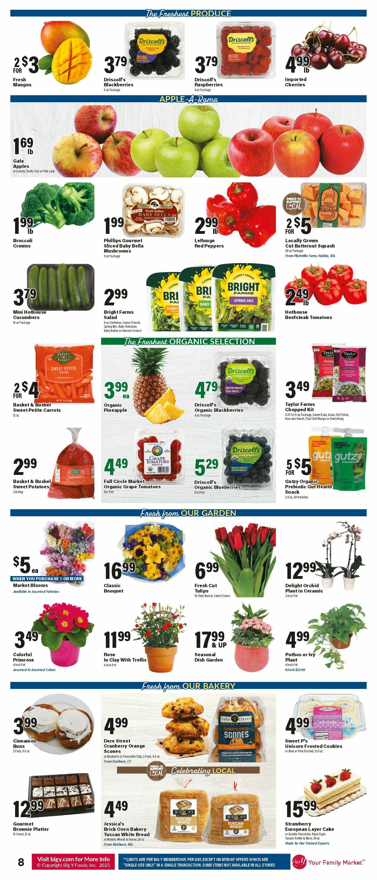 Big Y Weekly Ad from January 9