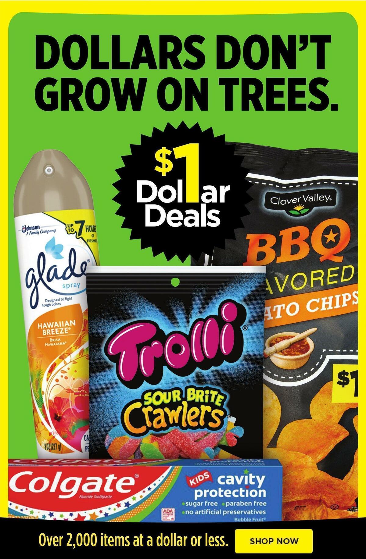 Dollar General Weekly Ad from April 24