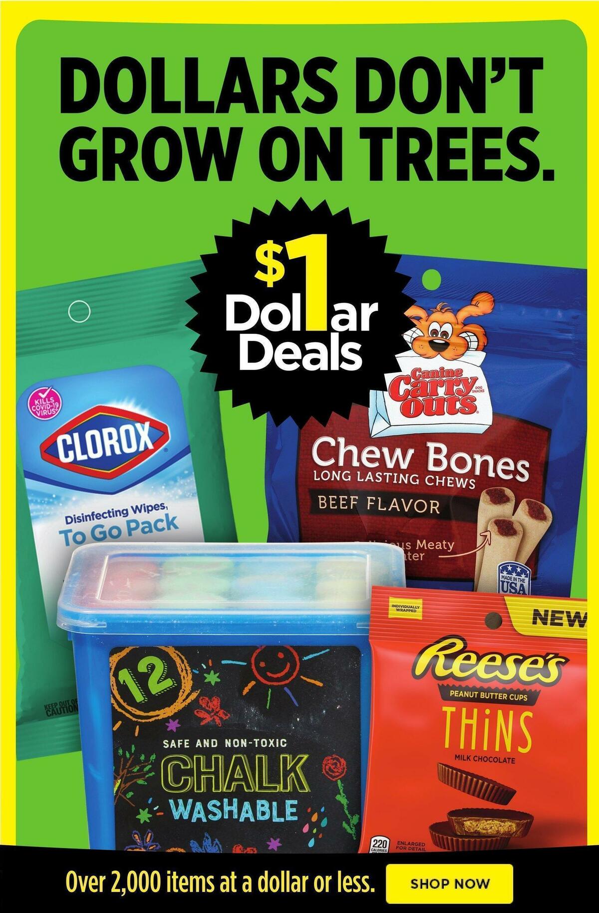 Dollar General Weekly Ad from May 22