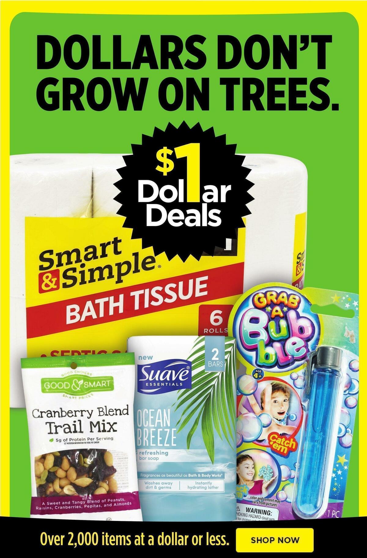 Dollar General Weekly Ad from May 29