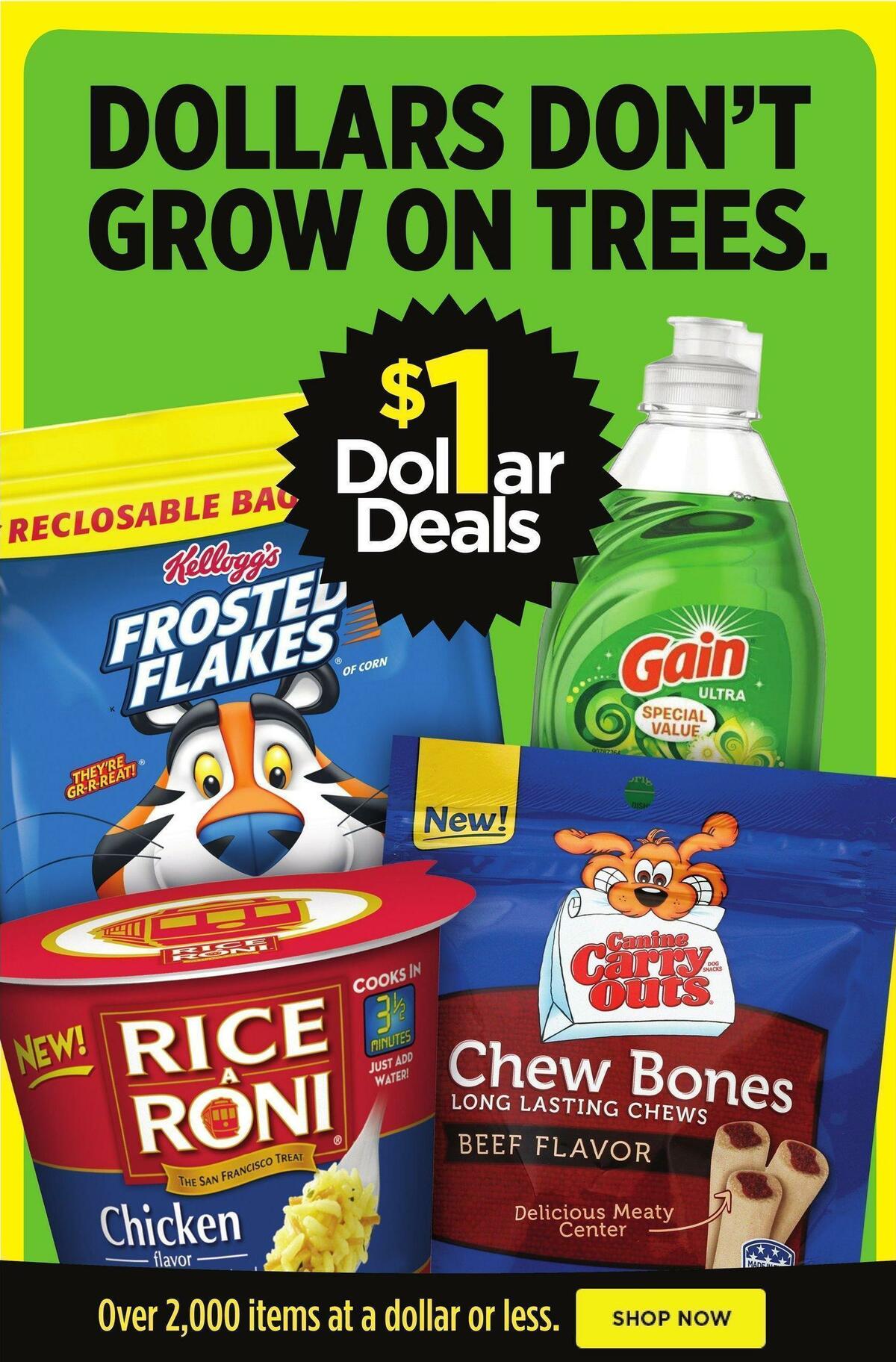 Dollar General Weekly Ad from September 4