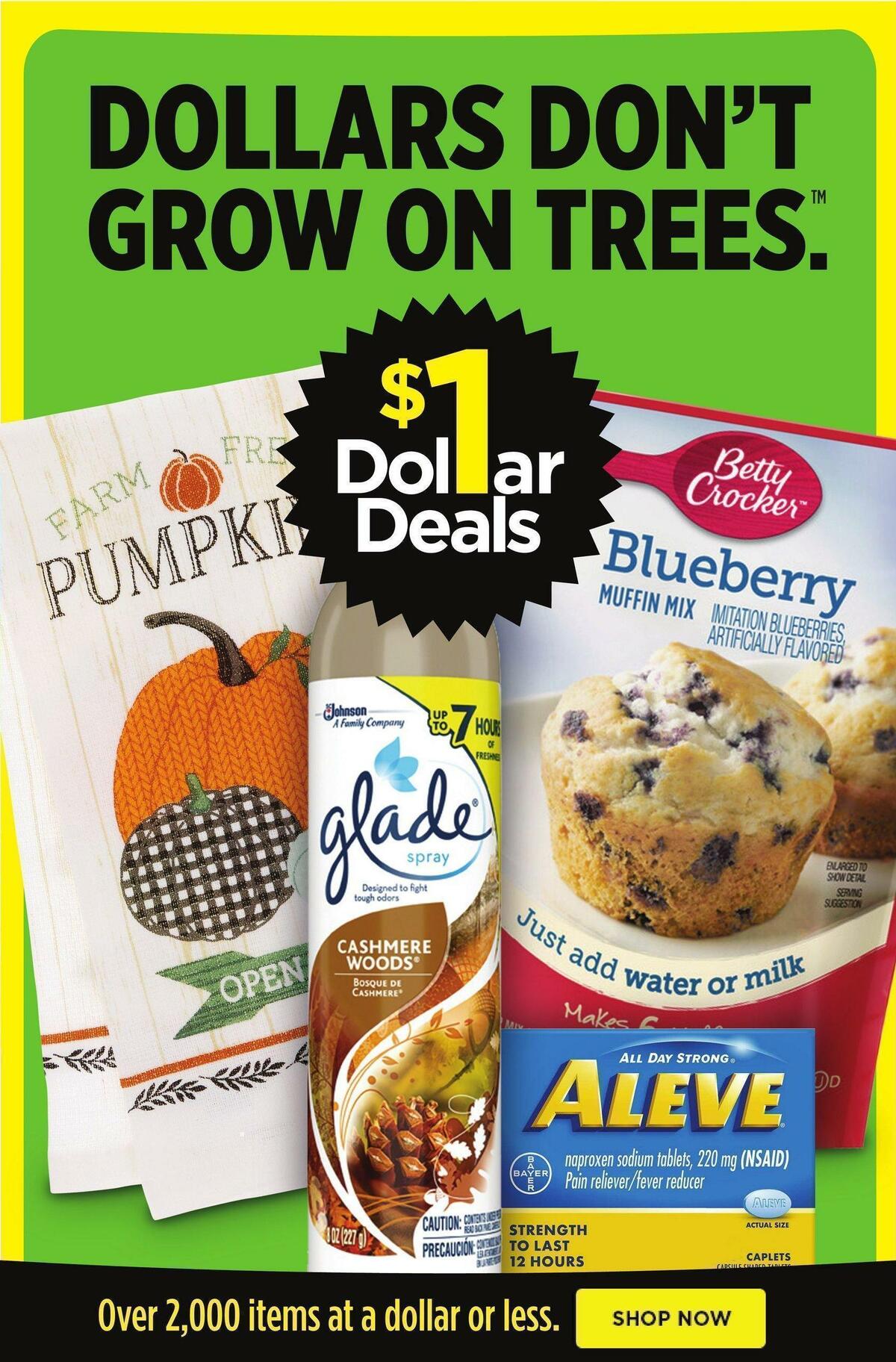 Dollar General Weekly Ad from September 11