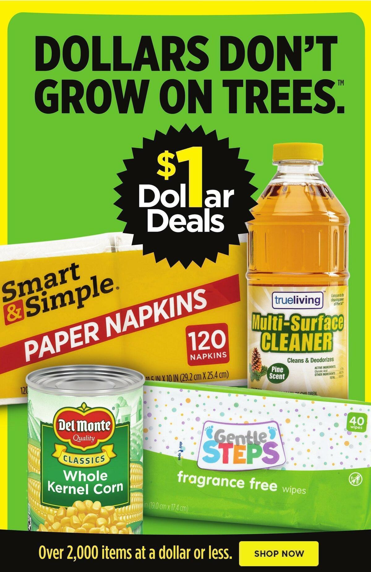 Dollar General Weekly Ad from November 27