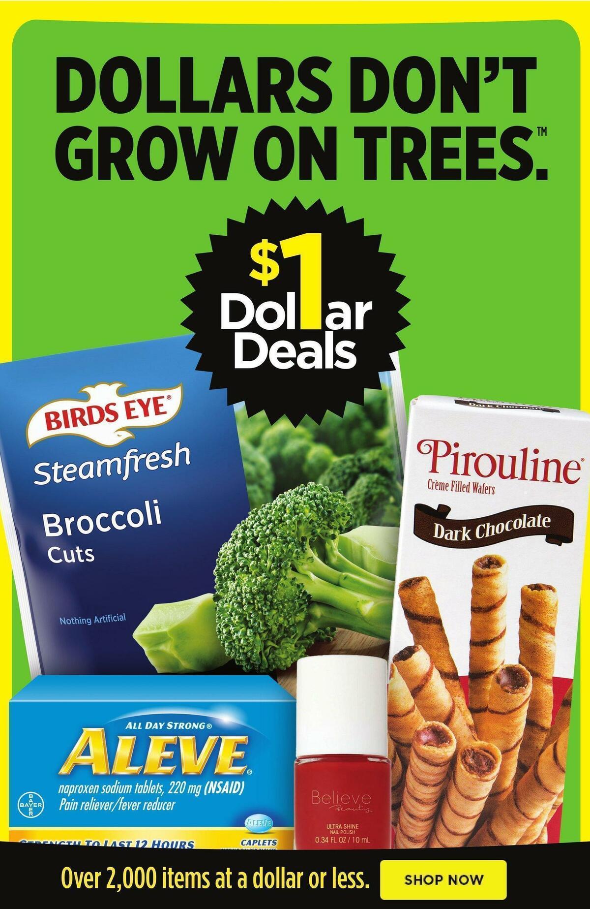 Dollar General Weekly Ad from December 18