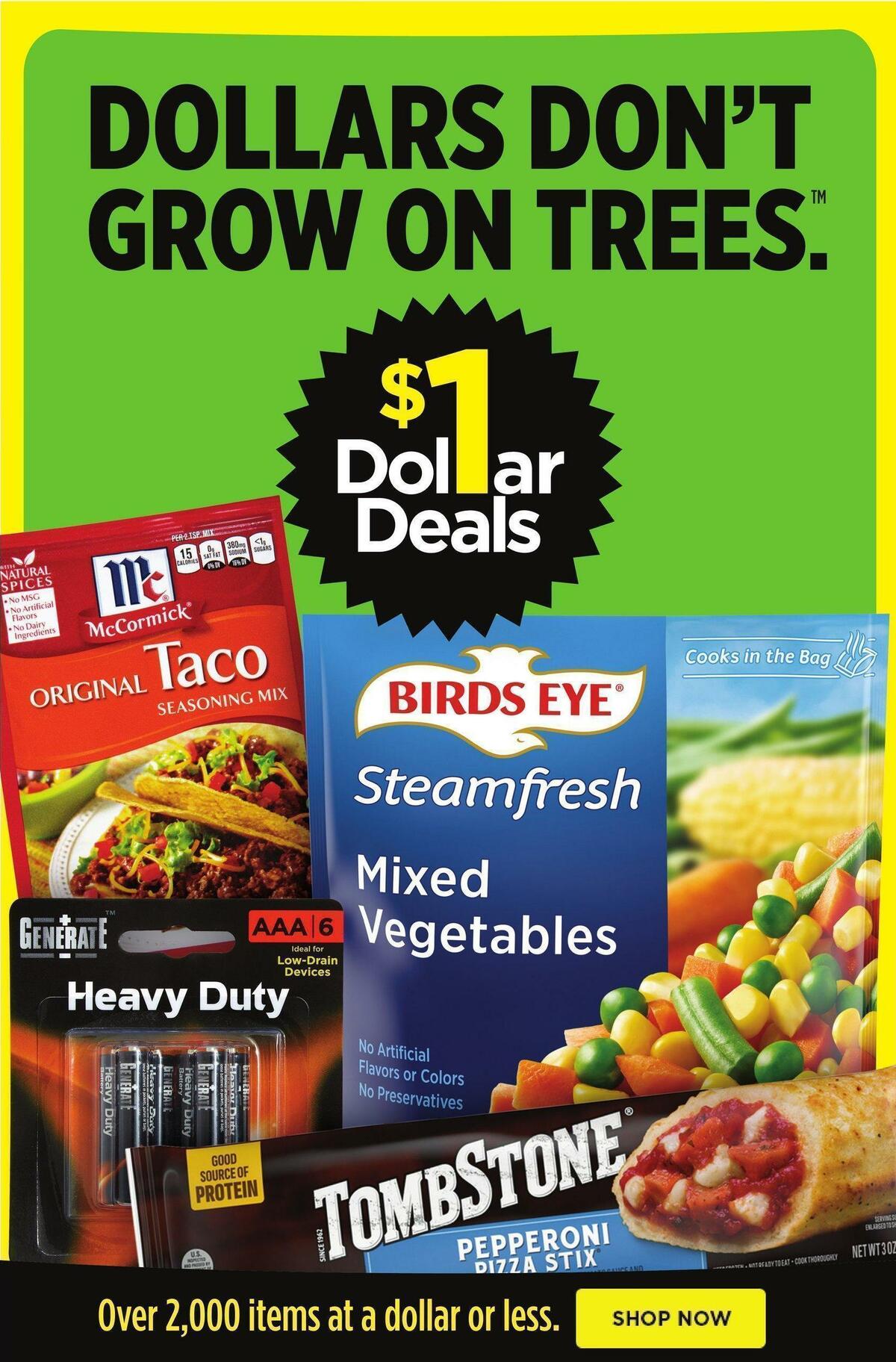 Dollar General Weekly Ad from January 15