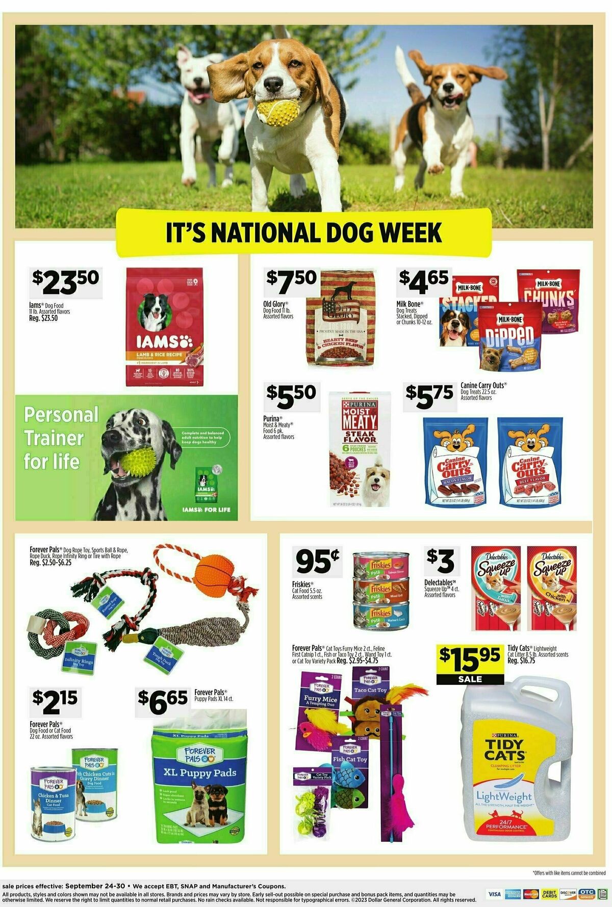 Dollar General Weekly Ad from September 24