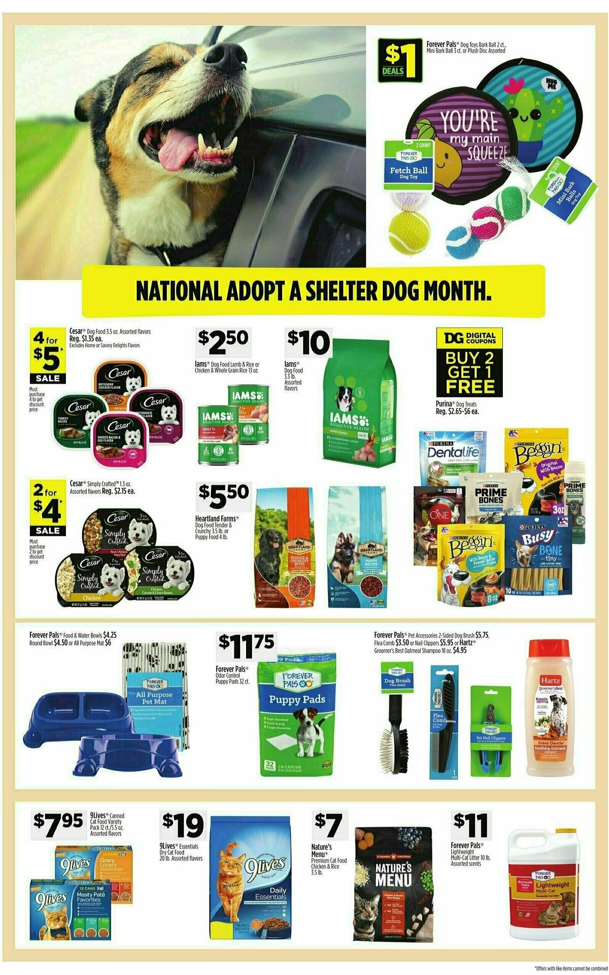 Dollar General Weekly Ad from October 15