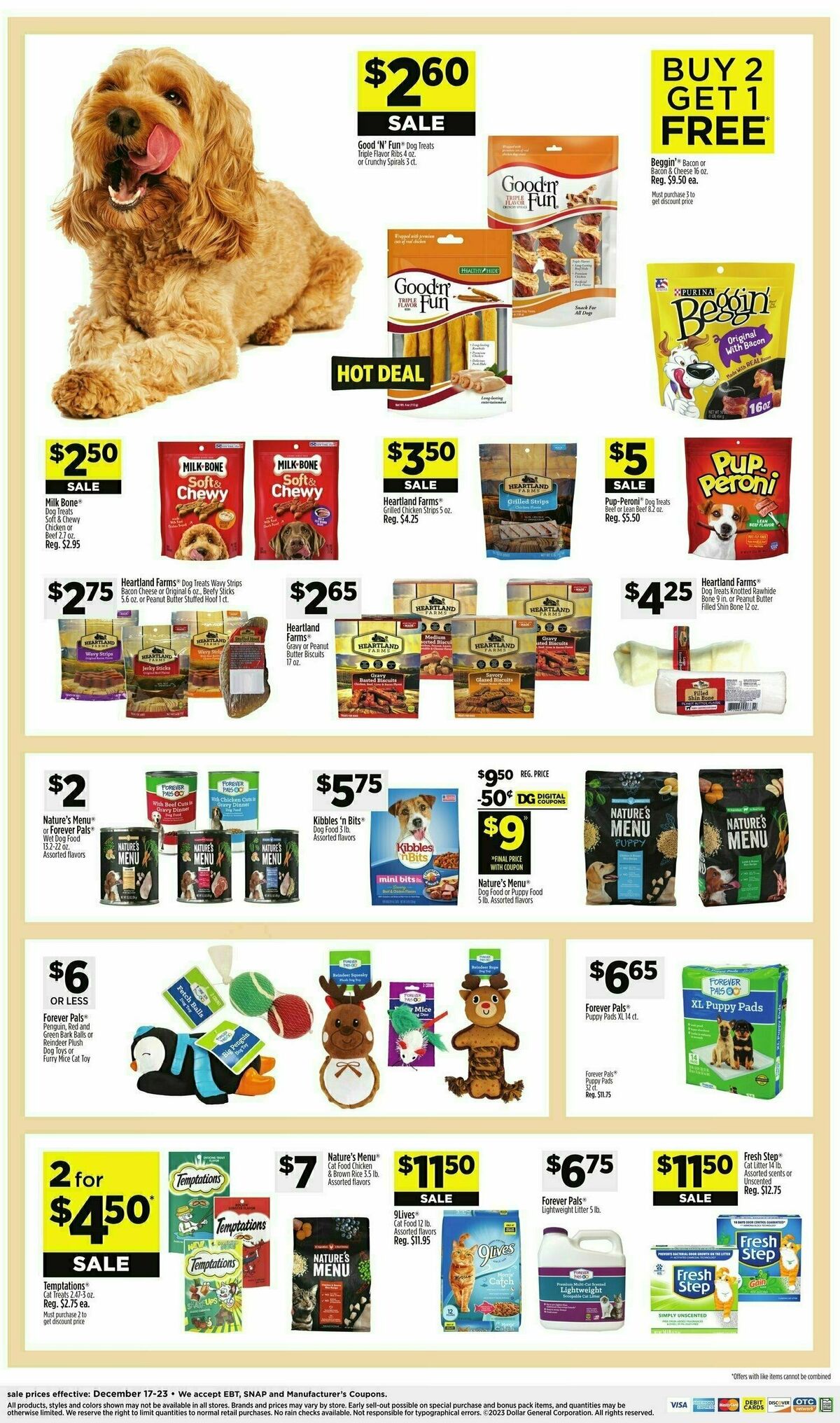 Dollar General Weekly Ad from December 17