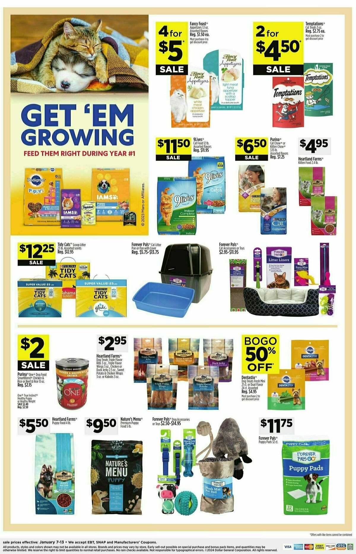 Dollar General Weekly Ad from January 7