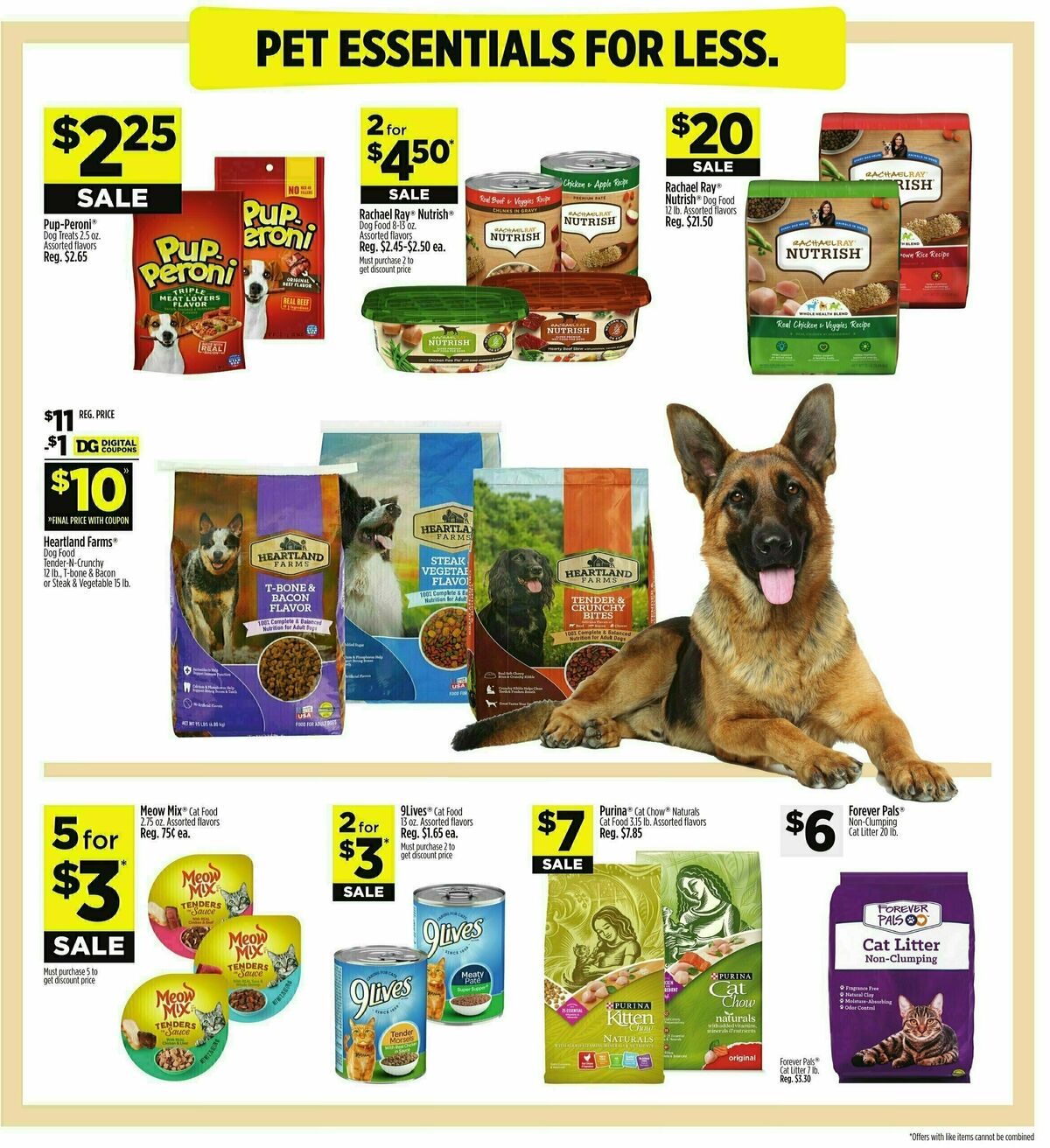 Dollar General Weekly Ad from January 28