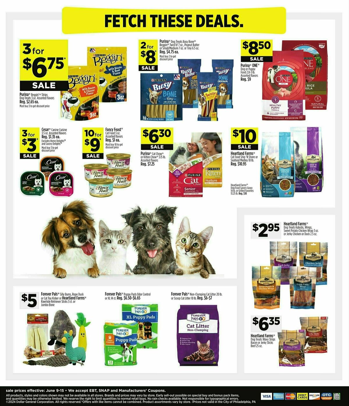 Dollar General Weekly Ad from June 9