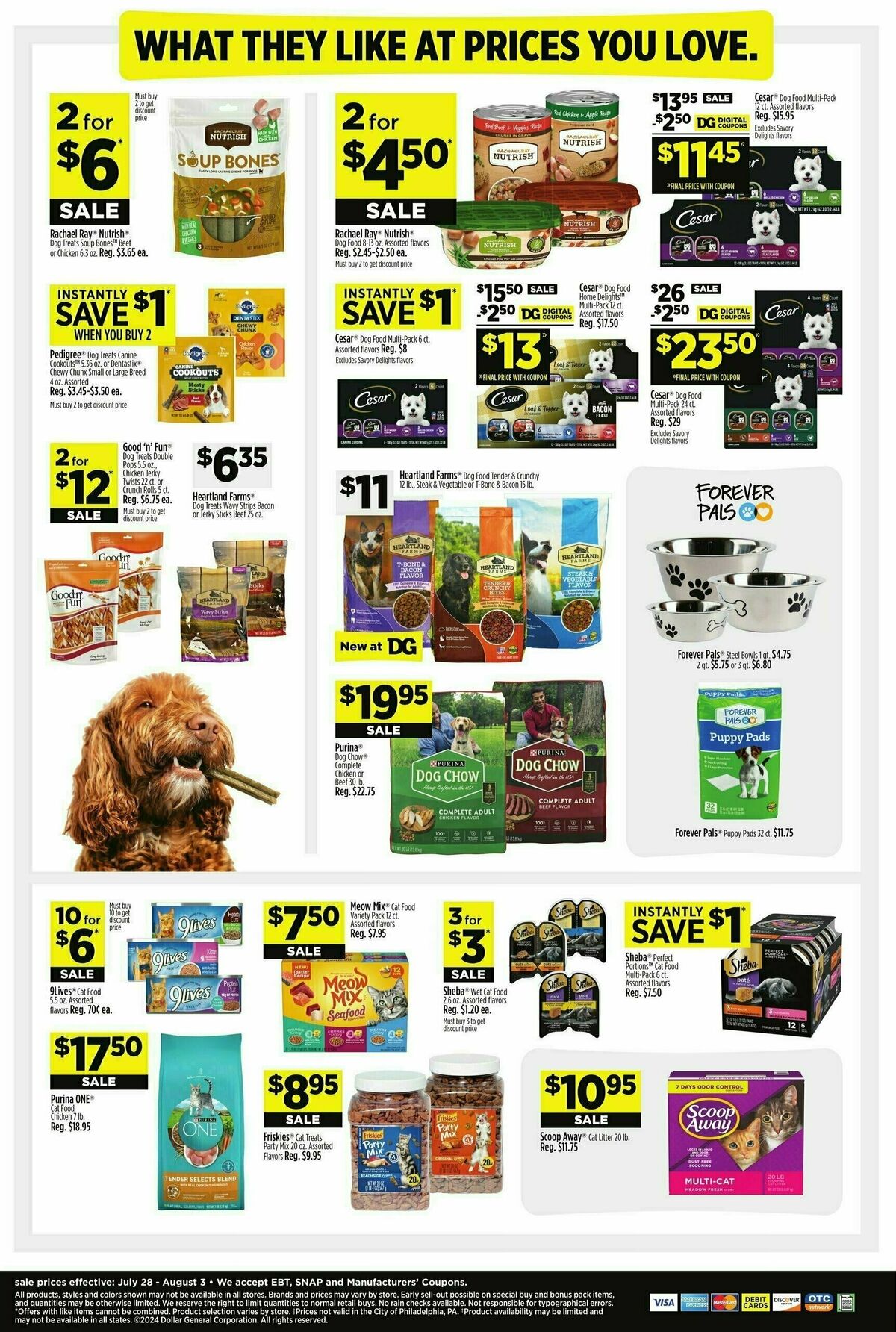 Dollar General Weekly Ad from July 28