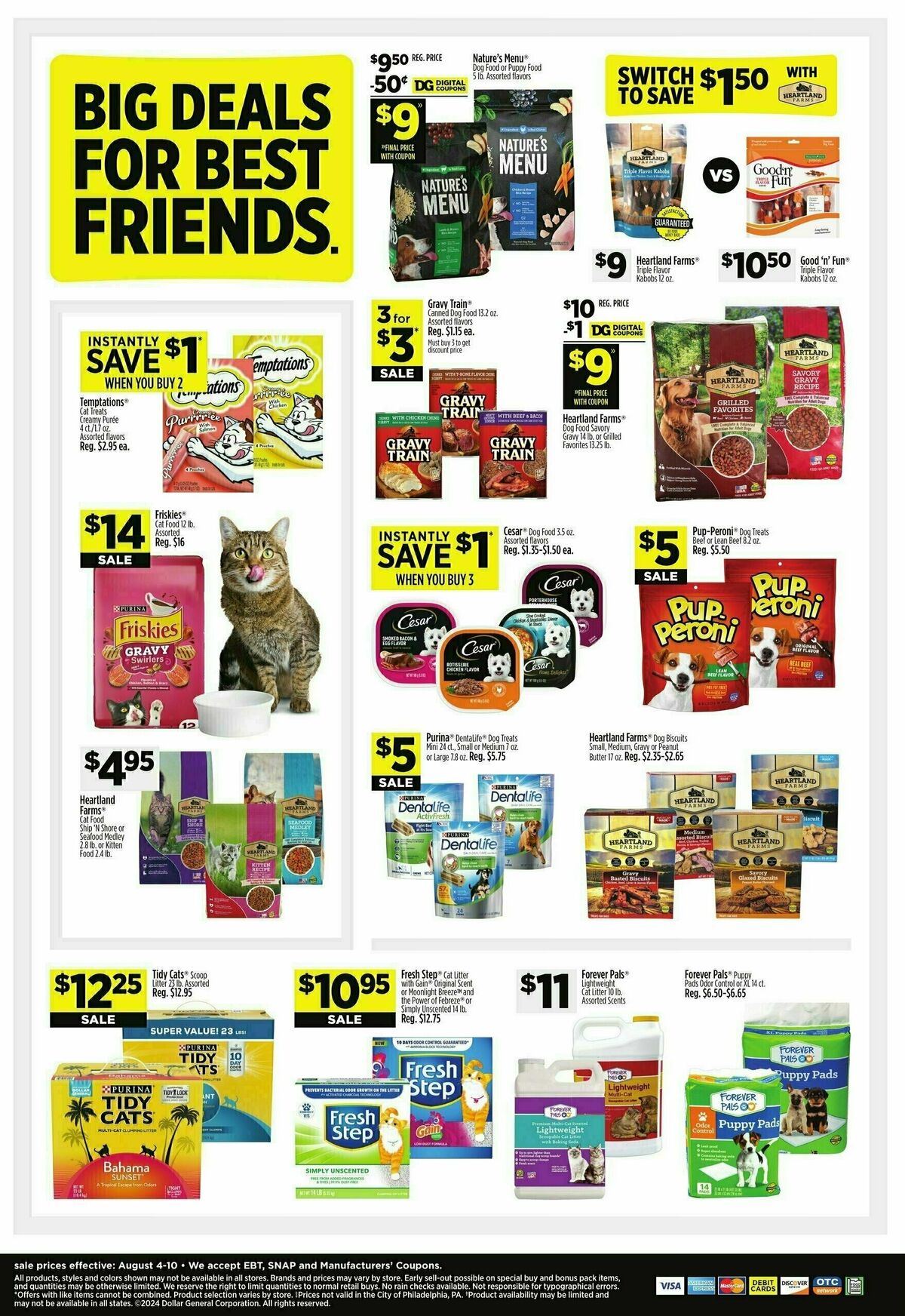 Dollar General Weekly Ad from August 4