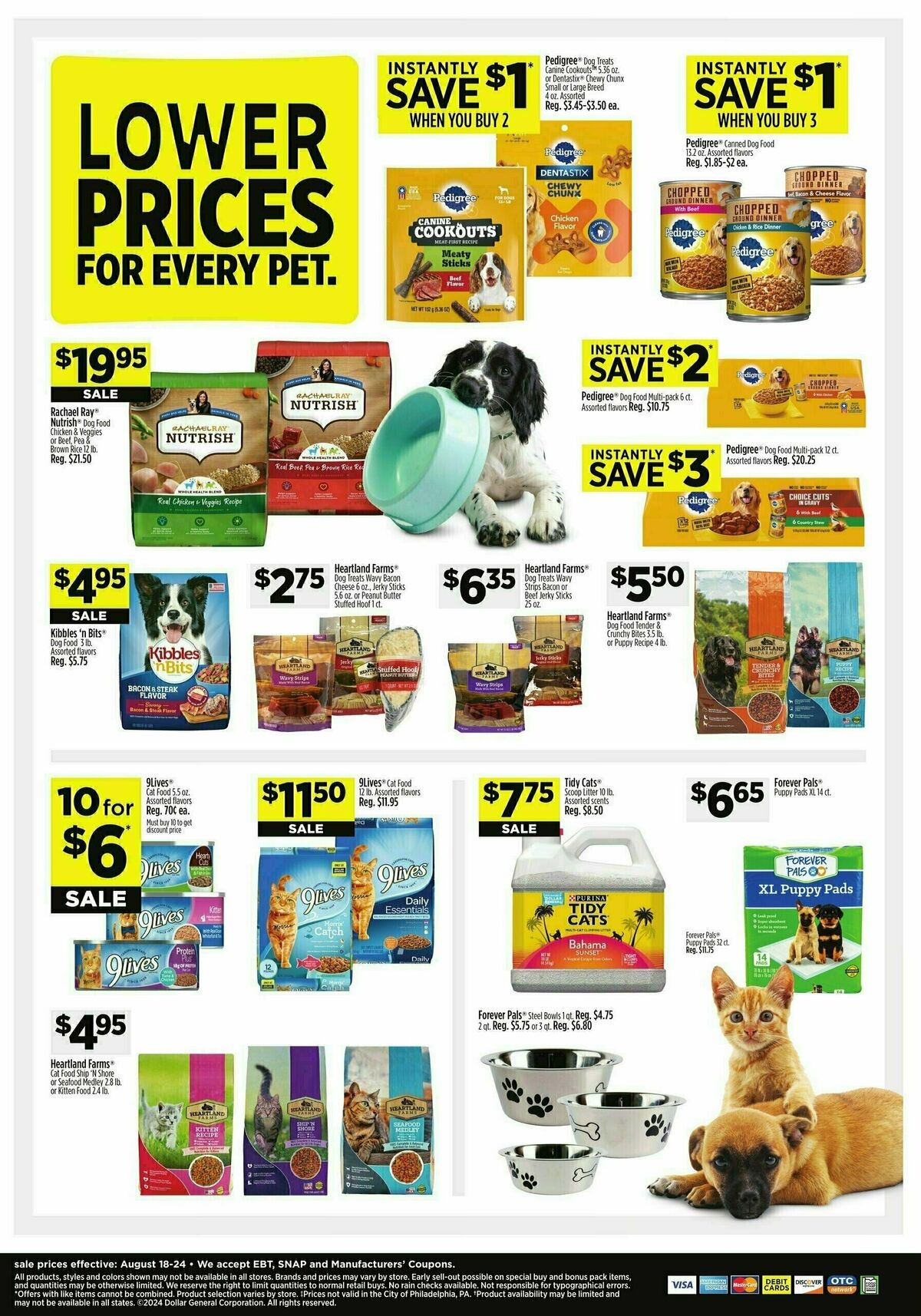 Dollar General Weekly Ad from August 18