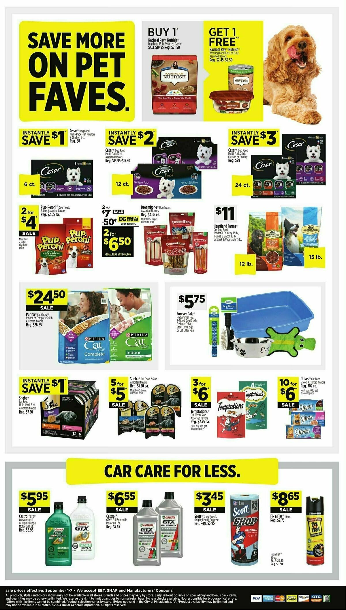 Dollar General Weekly Ad from September 1