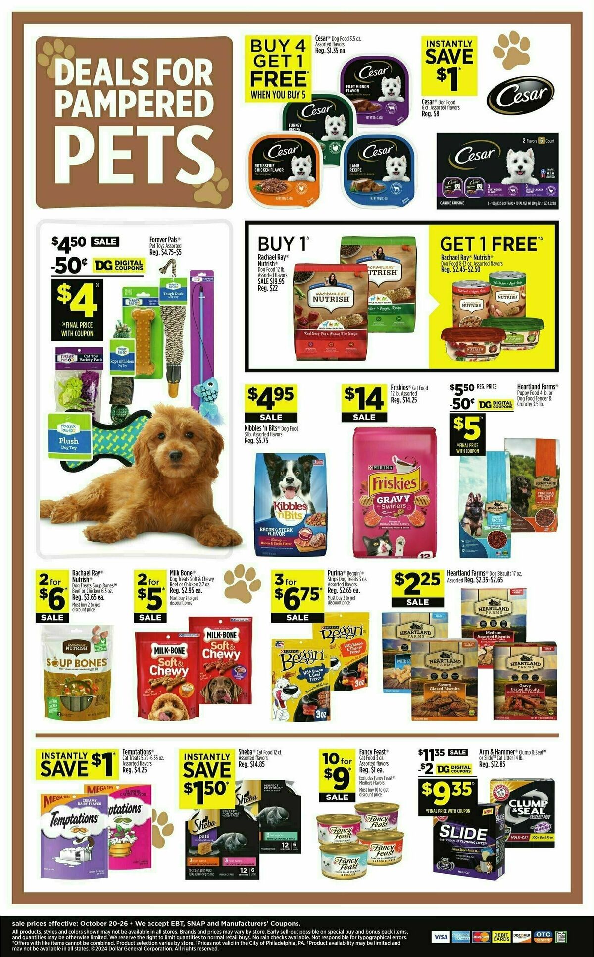 Dollar General Weekly Ad from October 20