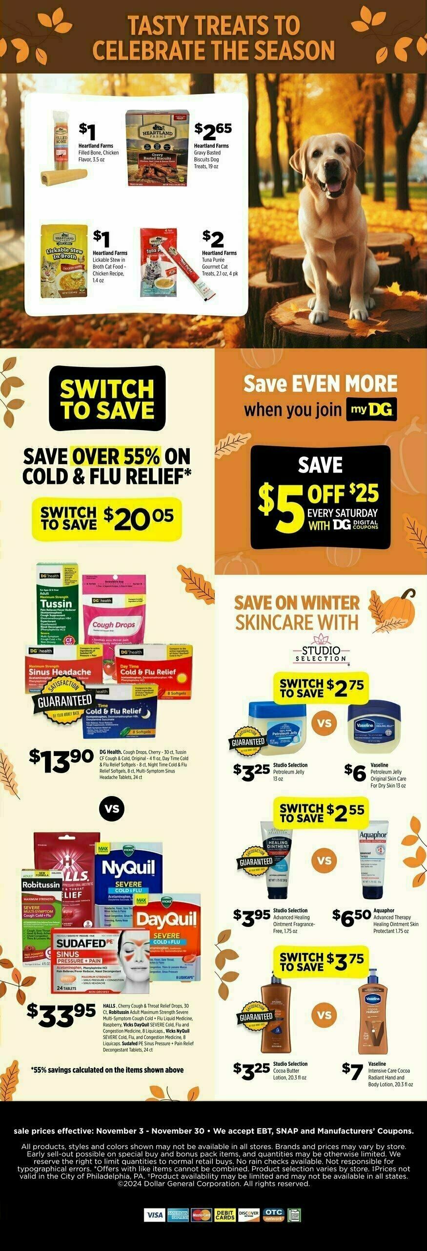 Dollar General DG Brands Monthly Flyer Weekly Ad from November 3