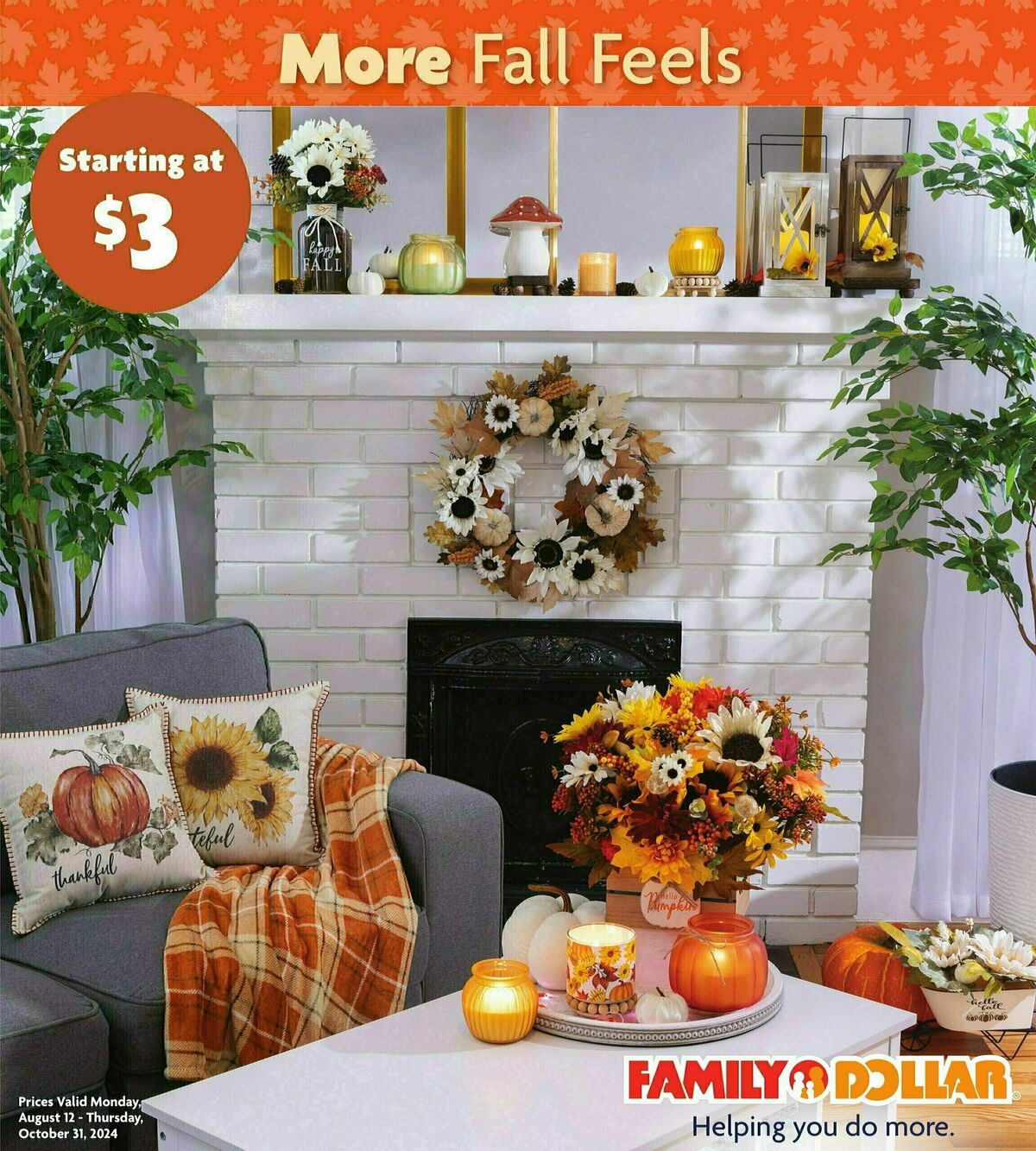 Family Dollar Harvest Book Weekly Ad from August 12